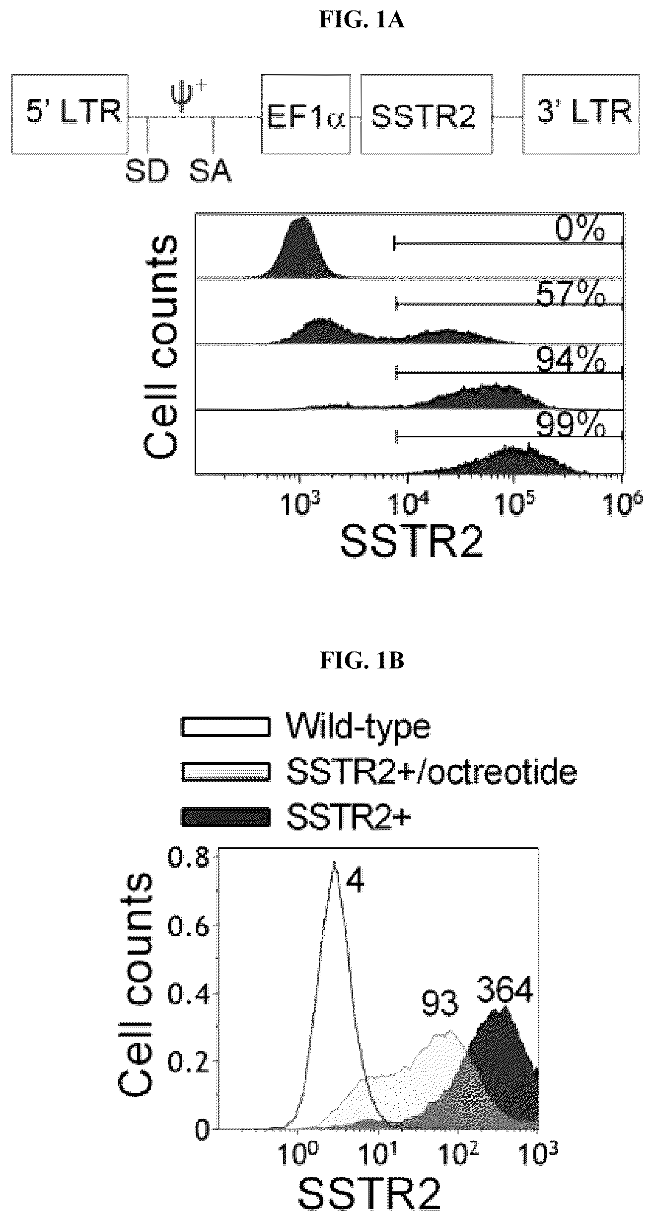 Patent US12325736 Figure 1 – Transduced T cells expressing human SSTR2 and application thereof