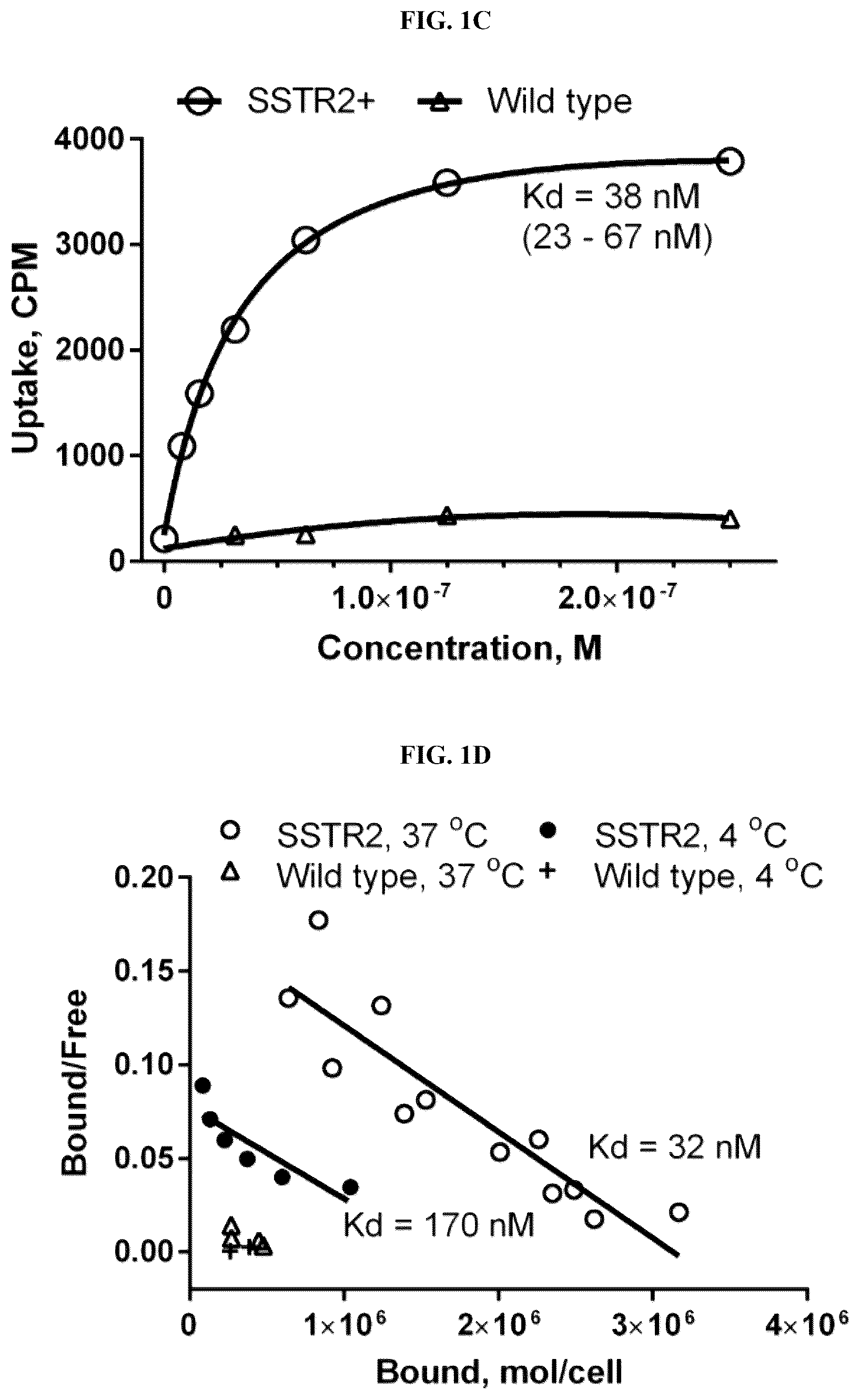 Patent US12325736 Figure 2 – Transduced T cells expressing human SSTR2 and application thereof