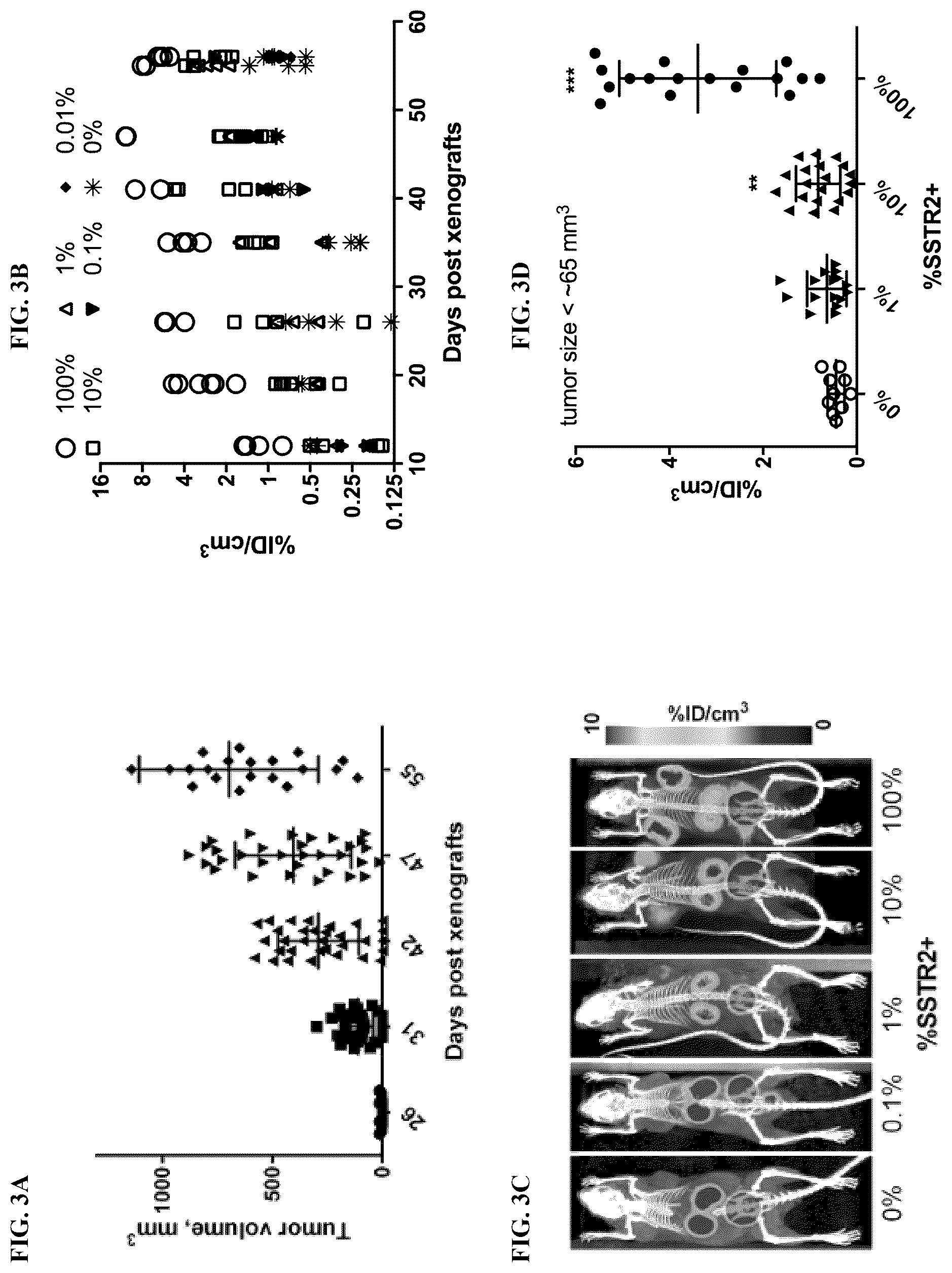 Patent US12325736 Figure 4 – Transduced T cells expressing human SSTR2 and application thereof