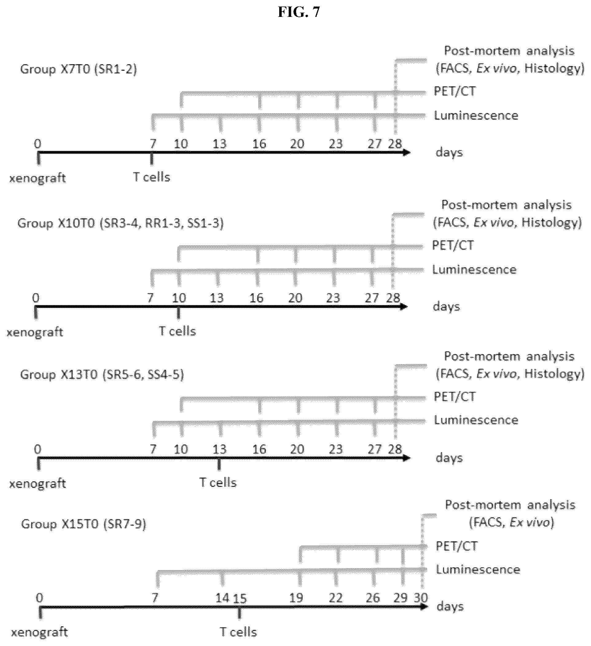 Patent US12325736 Figure 12 – Transduced T cells expressing human SSTR2 and application thereof