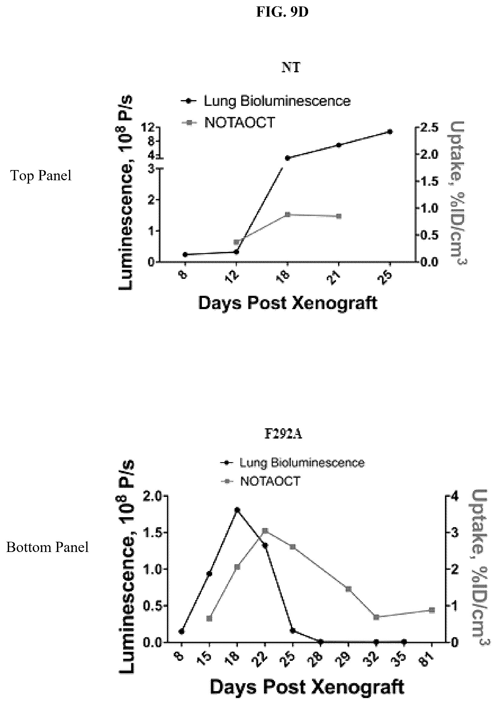 Patent US12325736 Figure 17 – Transduced T cells expressing human SSTR2 and application thereof