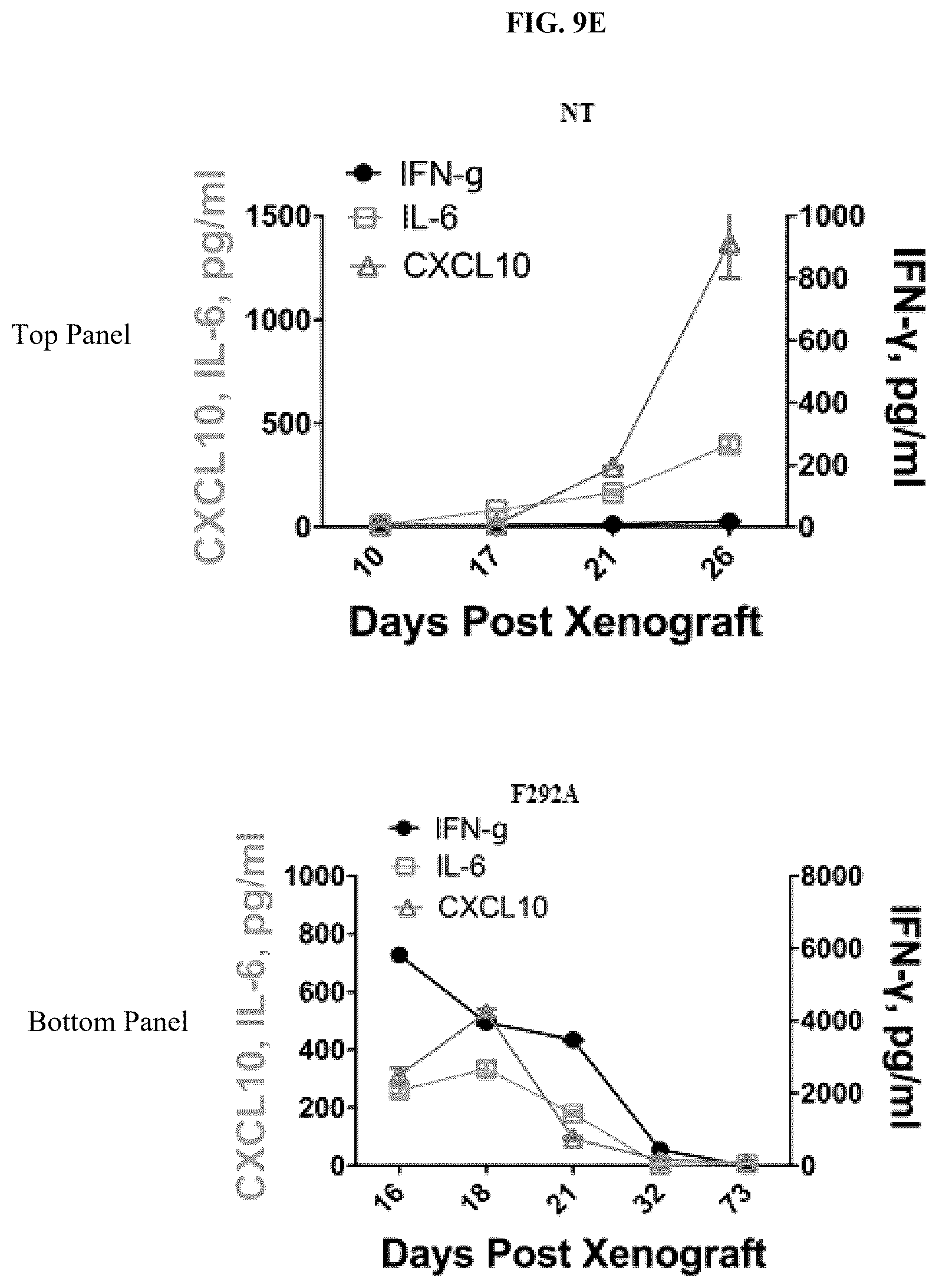 Patent US12325736 Figure 18 – Transduced T cells expressing human SSTR2 and application thereof