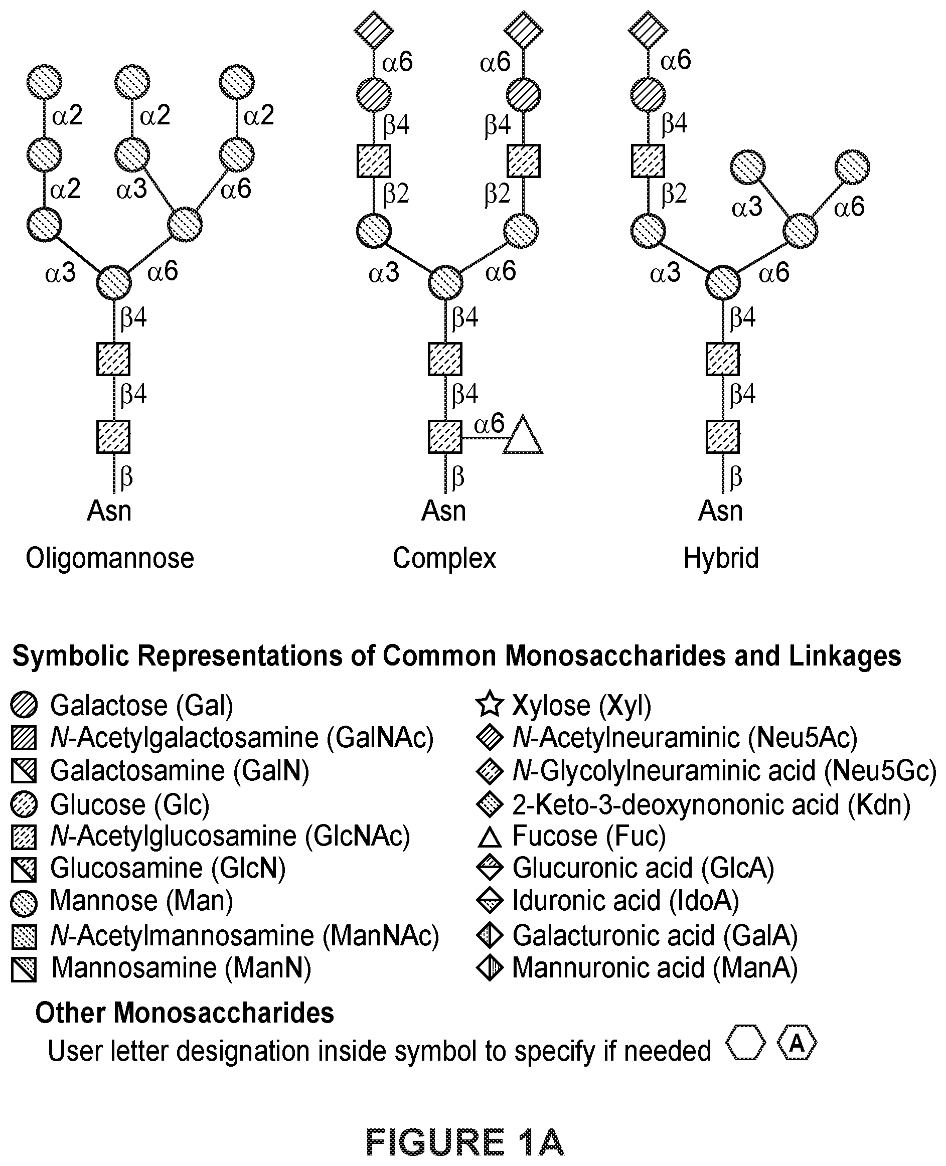 Patent US12325737 Figure 1 – Total afucosylated glycoforms of antibodies produced in cell culture