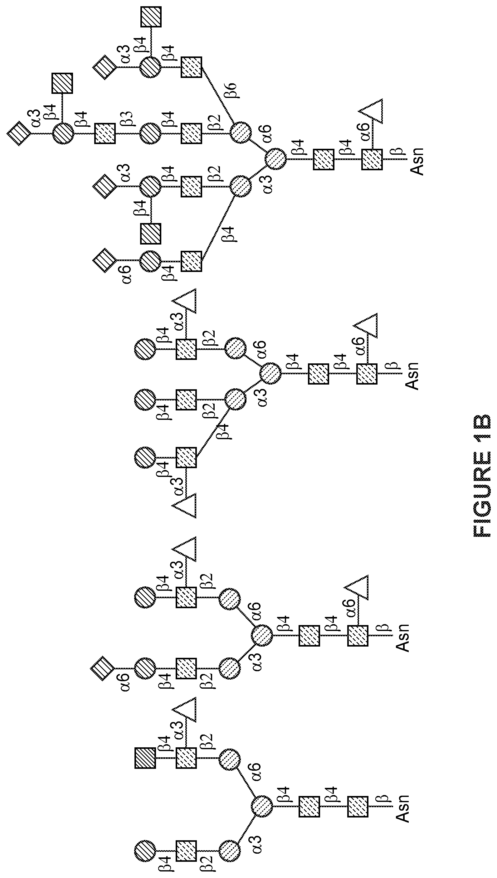 Patent US12325737 Figure 2 – Total afucosylated glycoforms of antibodies produced in cell culture