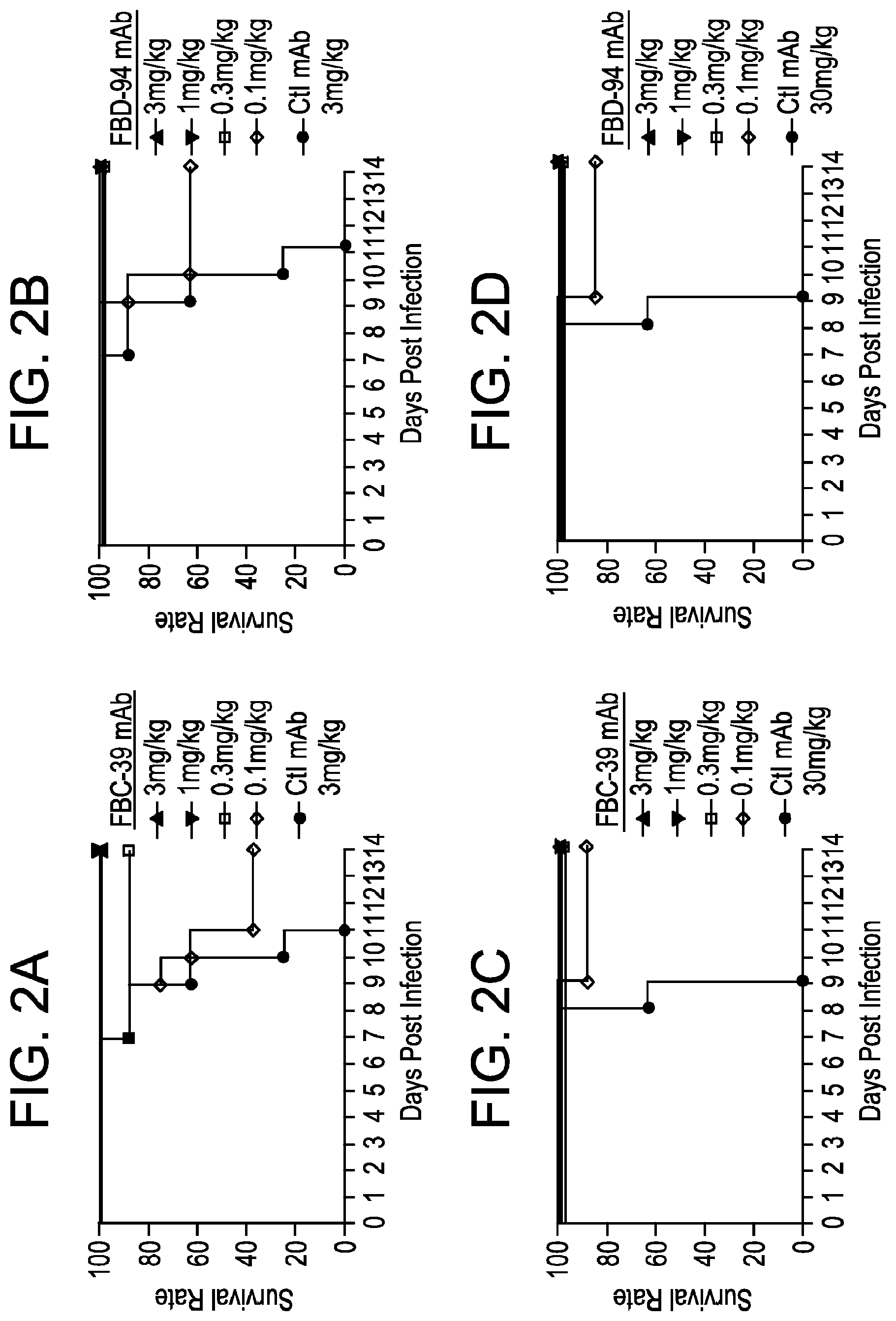 Patent US12325740 Figure 2 – Neutralizing anti-influenza B antibodies and uses thereof