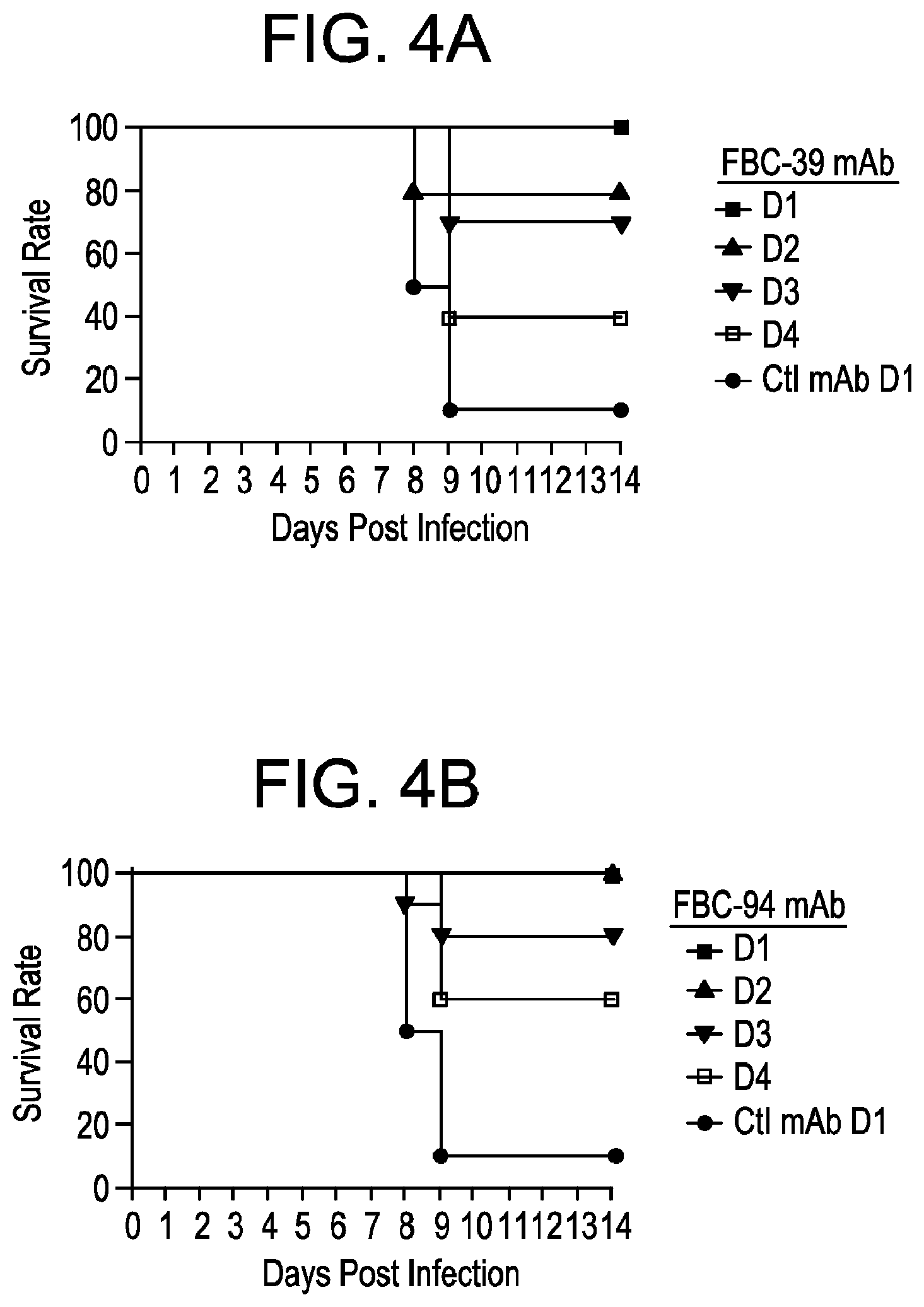Patent US12325740 Figure 4 – Neutralizing anti-influenza B antibodies and uses thereof
