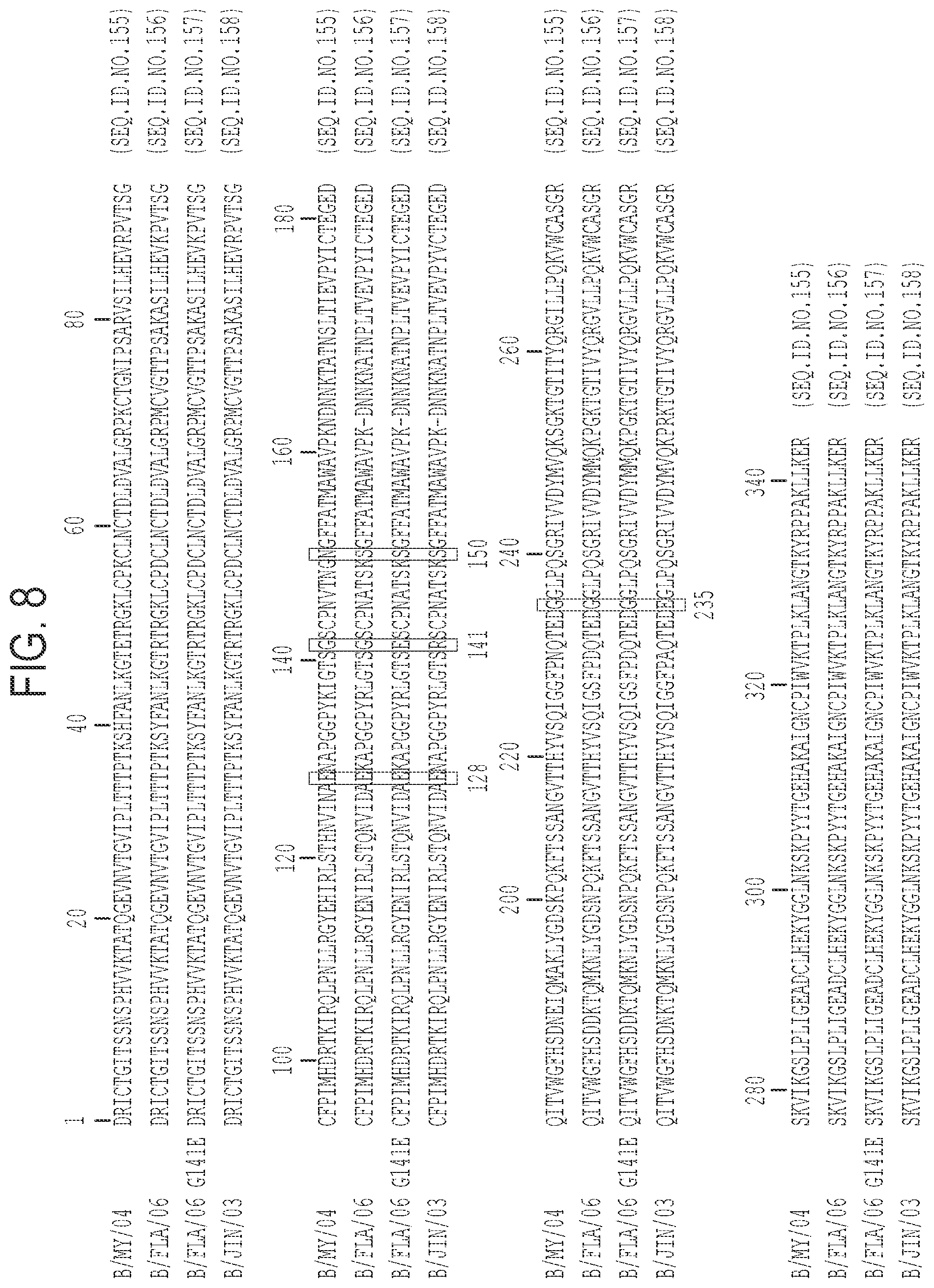 Patent US12325740 Figure 11 – Neutralizing anti-influenza B antibodies and uses thereof