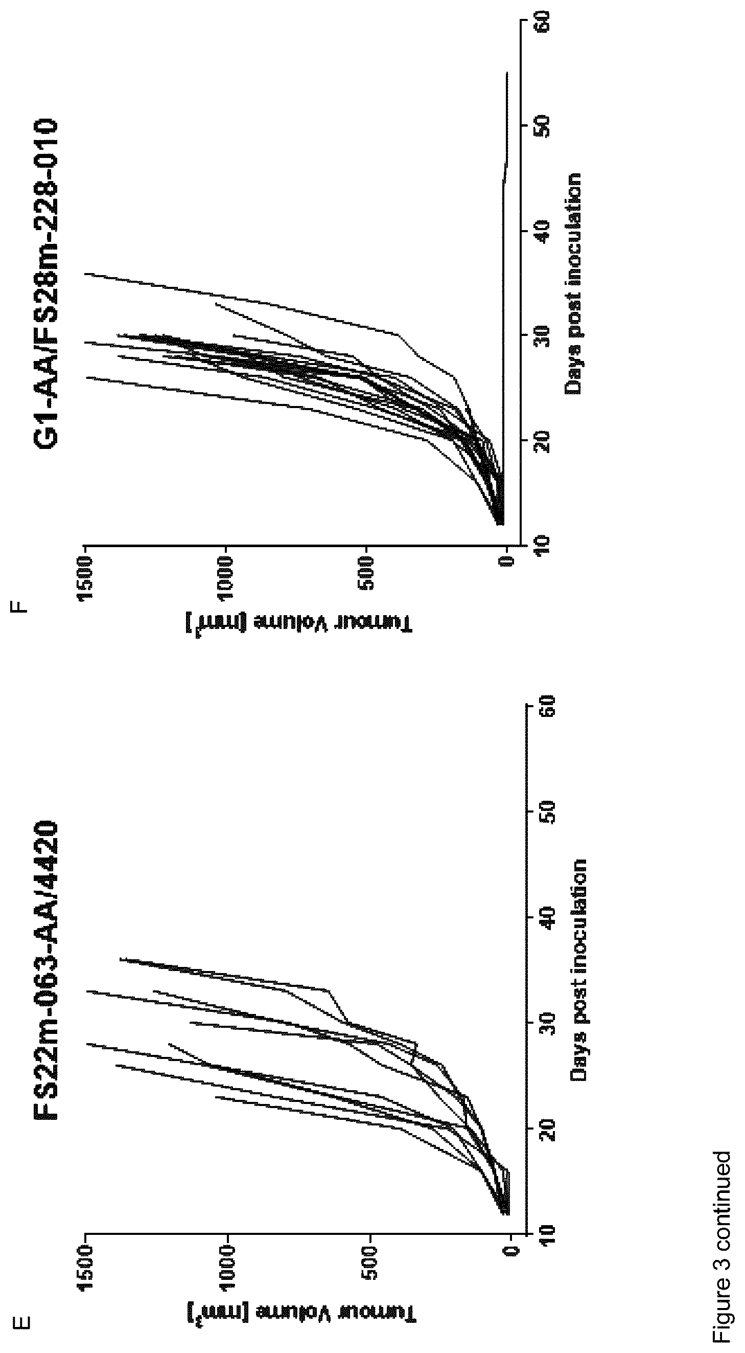 Patent US12325742 Figure 4 – Anti-mesothelin antibodies
