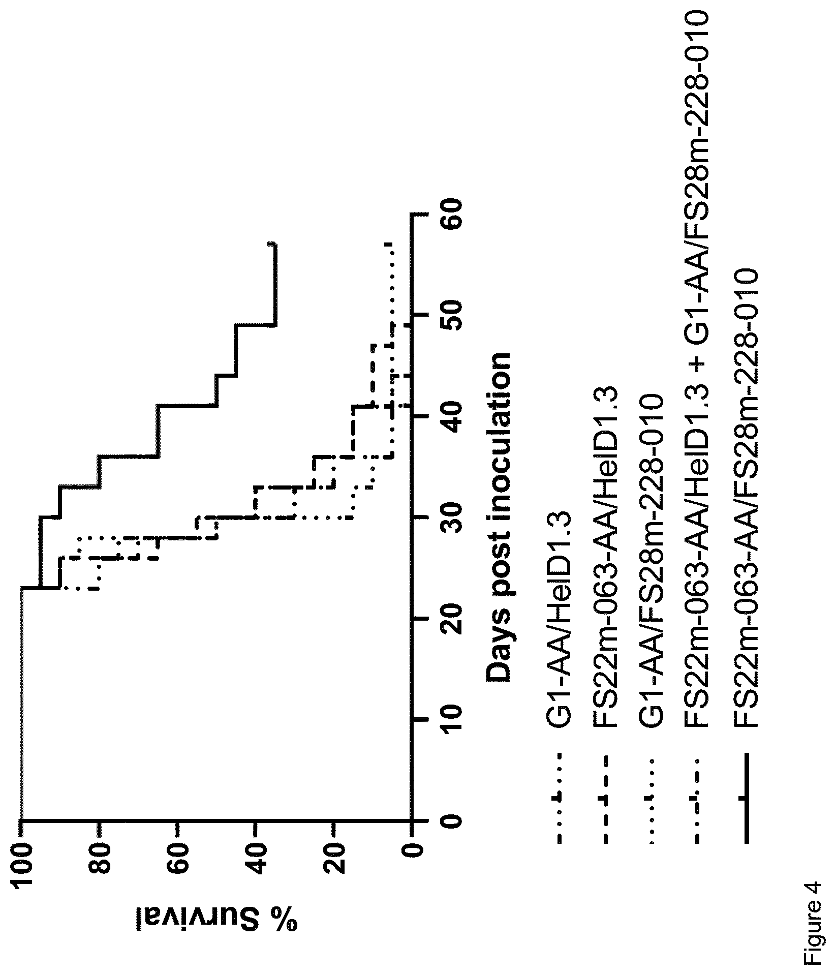 Patent US12325742 Figure 5 – Anti-mesothelin antibodies