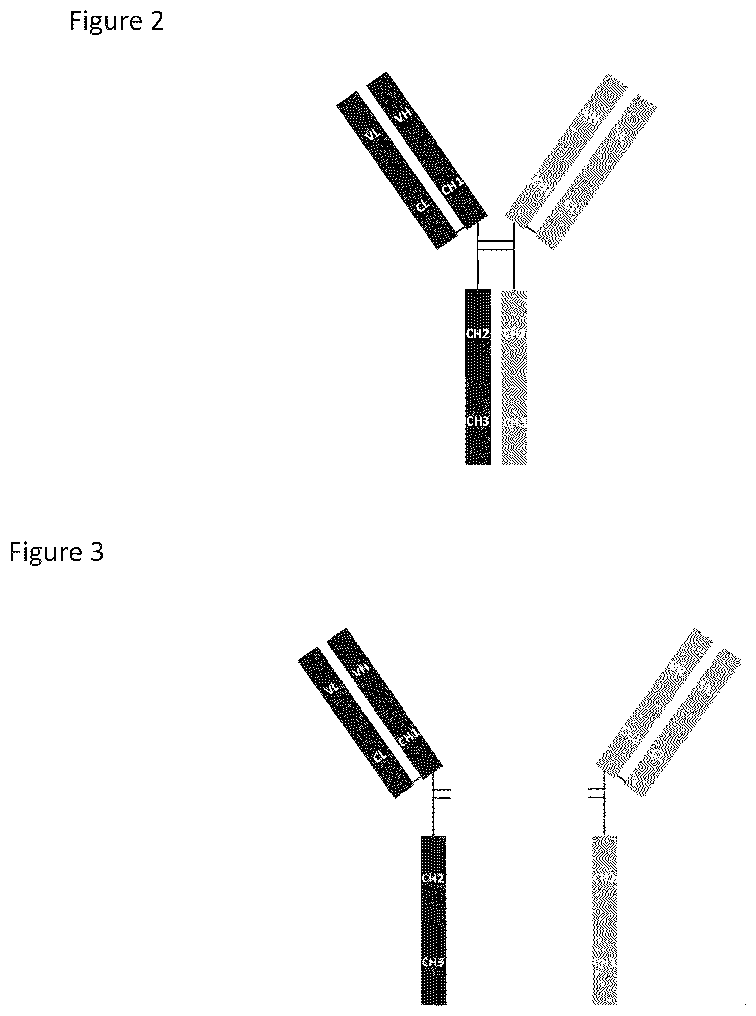 Patent US12325743 Figure 2 – Anti-TNFα/anti IL-17A natural antibody structure-like heterodimer form of bispecific antibody and preparation method therefor