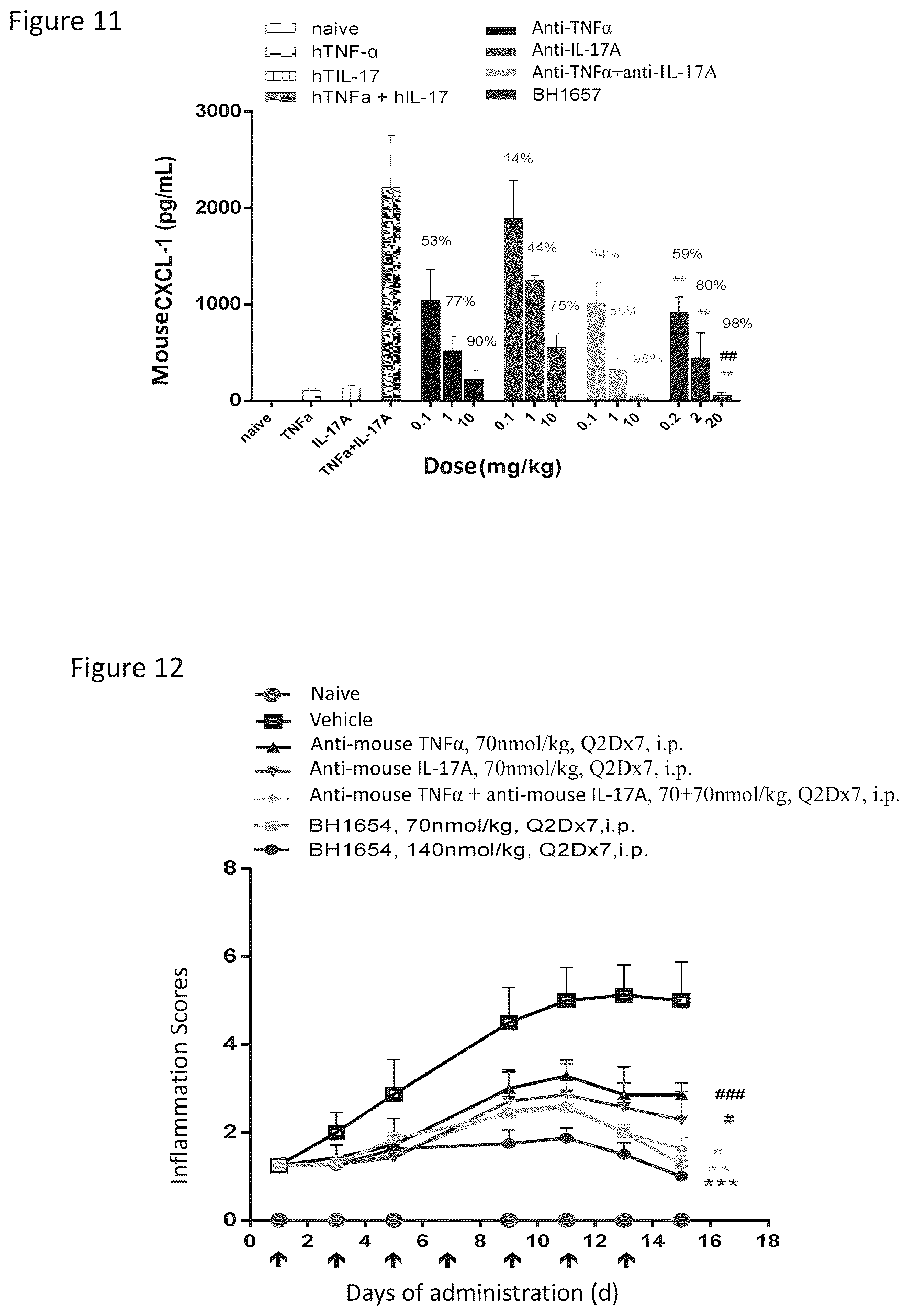 Patent US12325743 Figure 8 – Anti-TNFα/anti IL-17A natural antibody structure-like heterodimer form of bispecific antibody and preparation method therefor