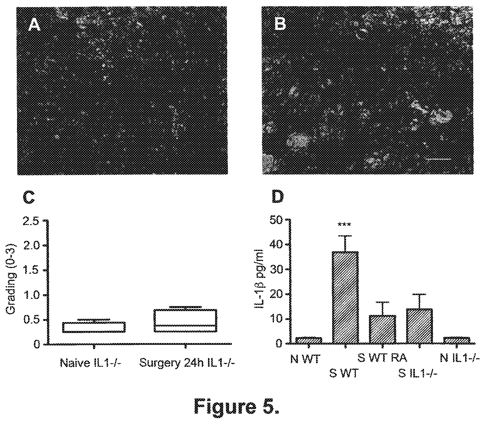 Patent US12325744 Figure 4 – Methods for reducing post-operative cognitive dysfunction (POCD)