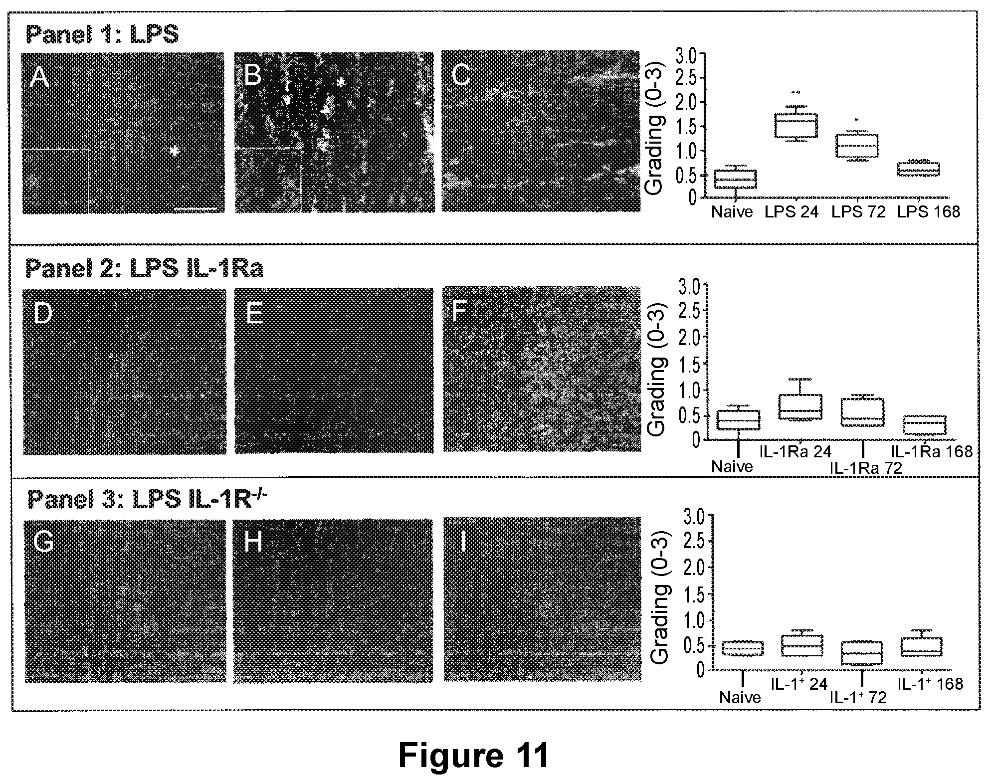 Patent US12325744 Figure 9 – Methods for reducing post-operative cognitive dysfunction (POCD)