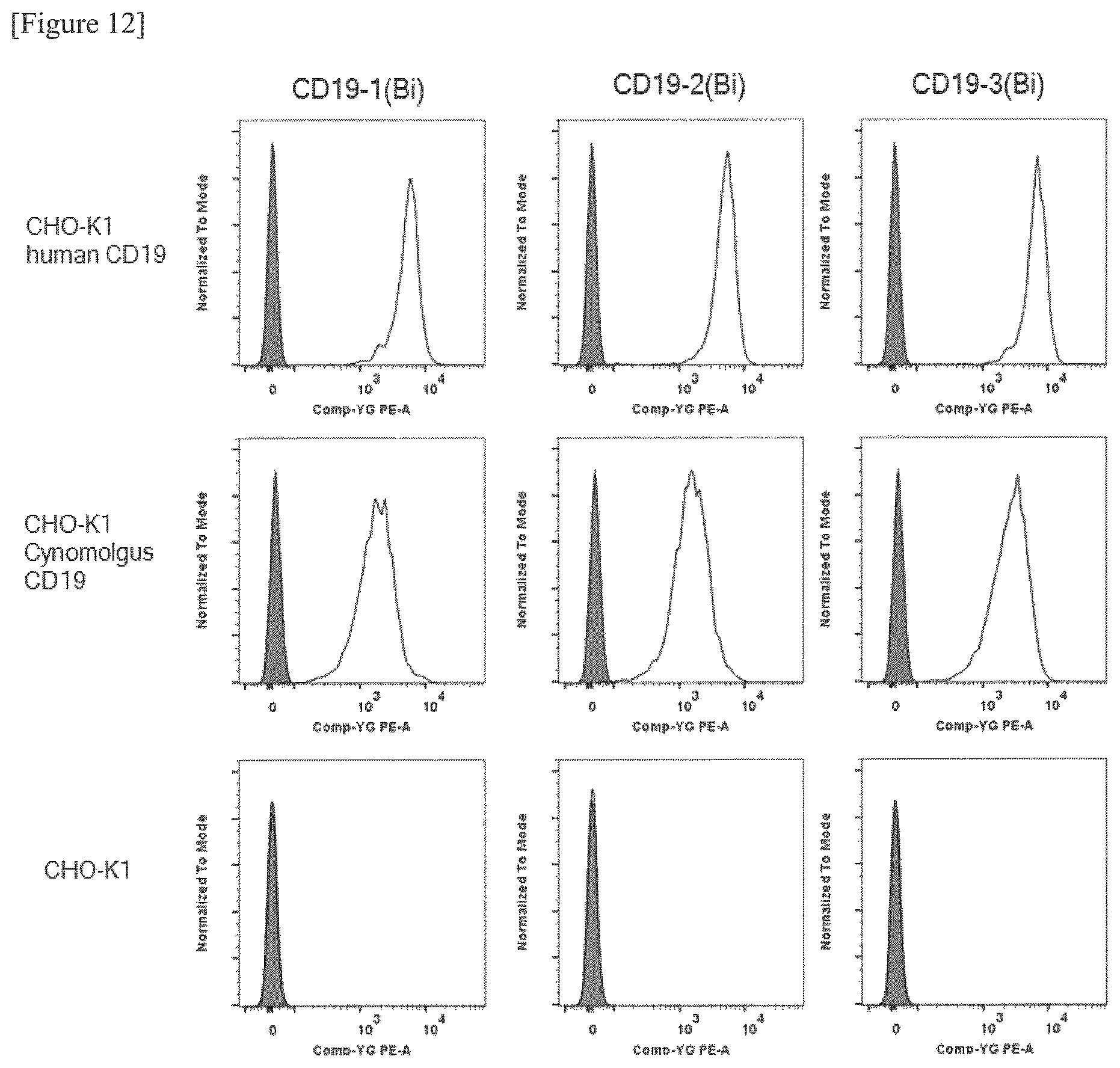 Patent US12325746 Figure 5 – Bispecific antibody