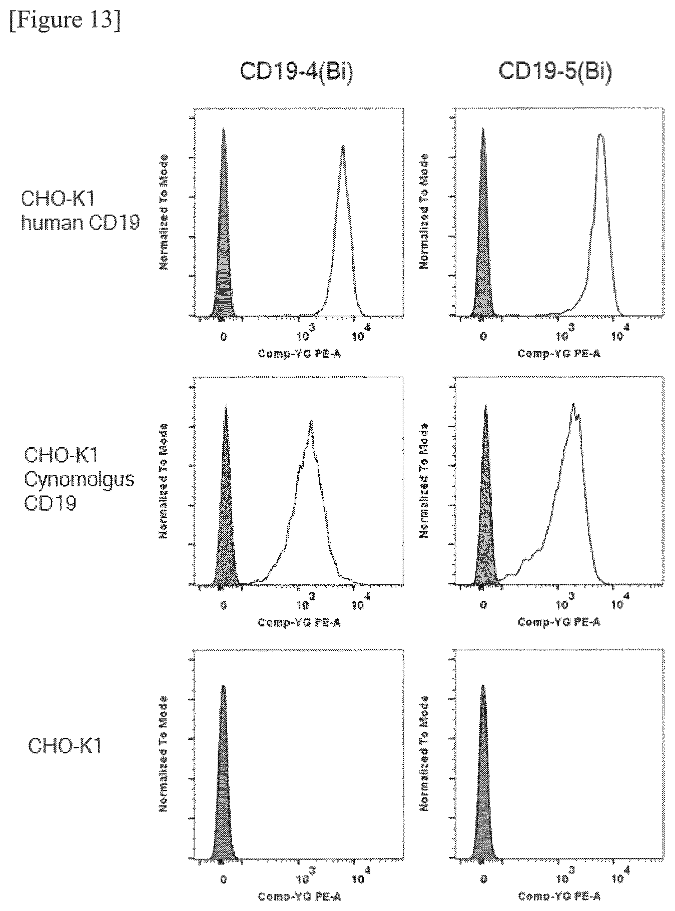 Patent US12325746 Figure 6 – Bispecific antibody