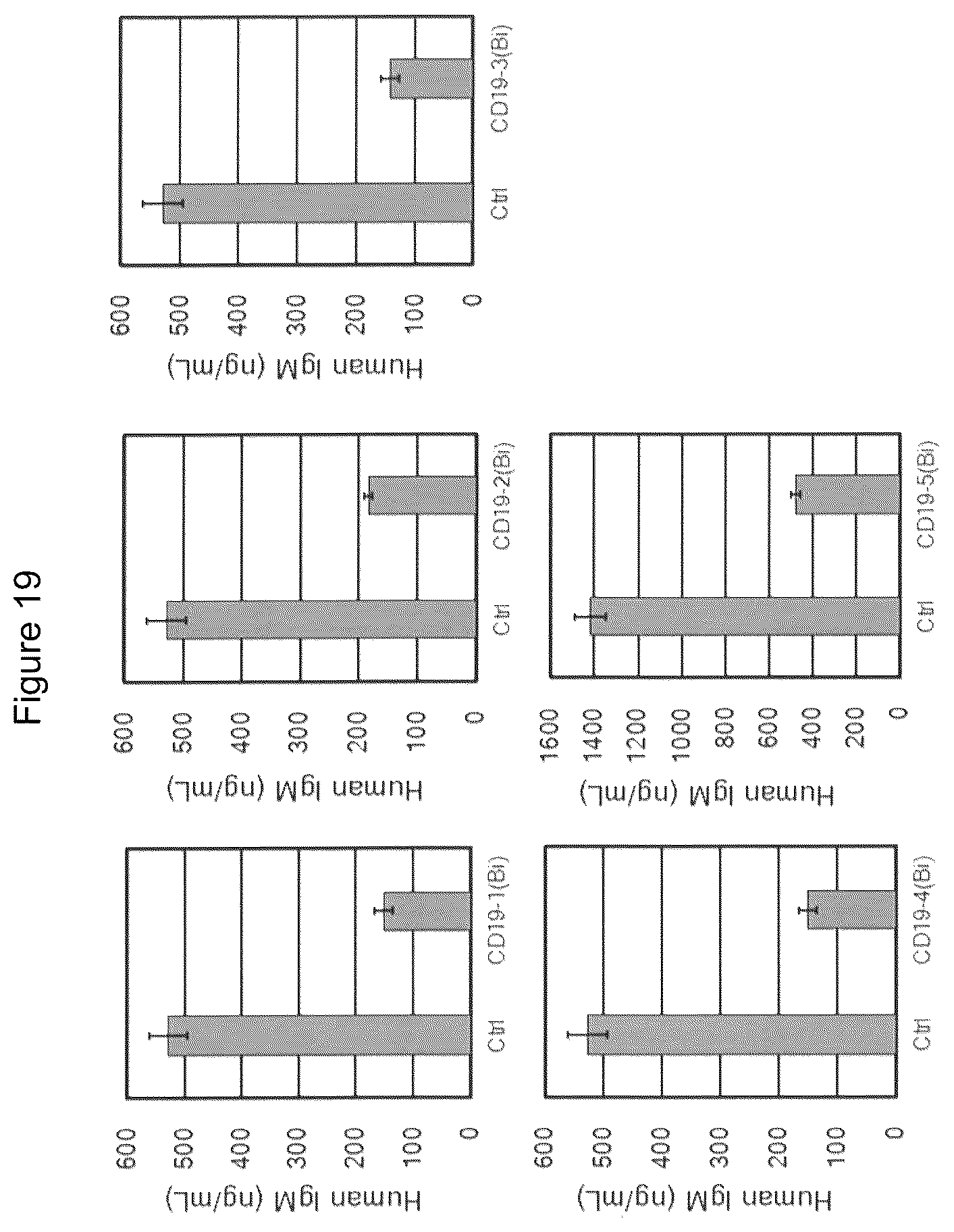 Patent US12325746 Figure 12 – Bispecific antibody