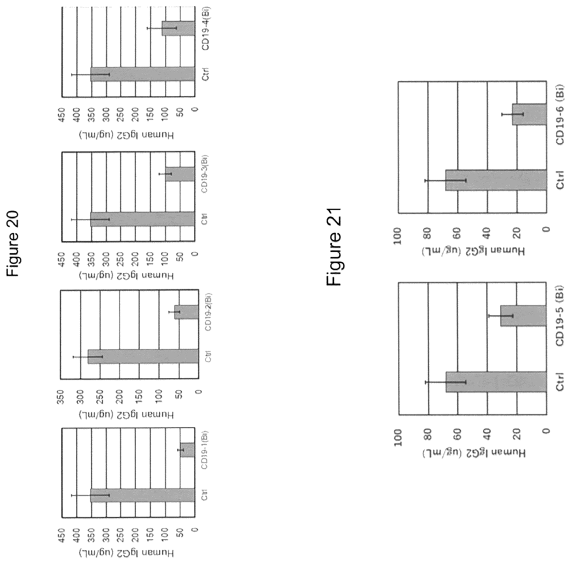 Patent US12325746 Figure 13 – Bispecific antibody