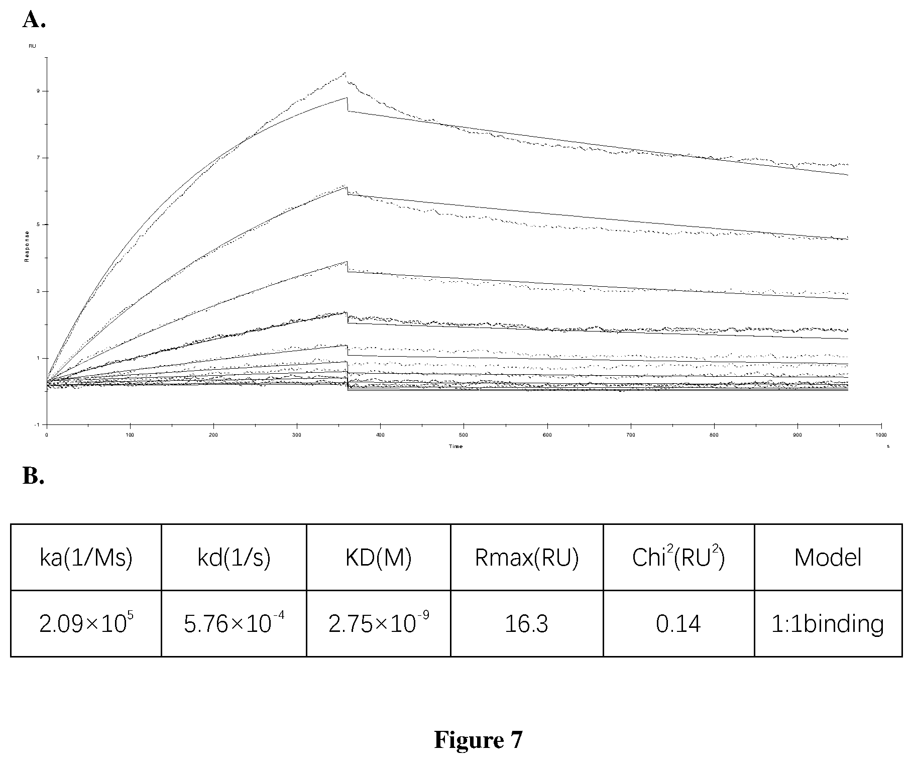Patent US12325749 Figure 11 – Anti-PD-L1 antibody and use thereof