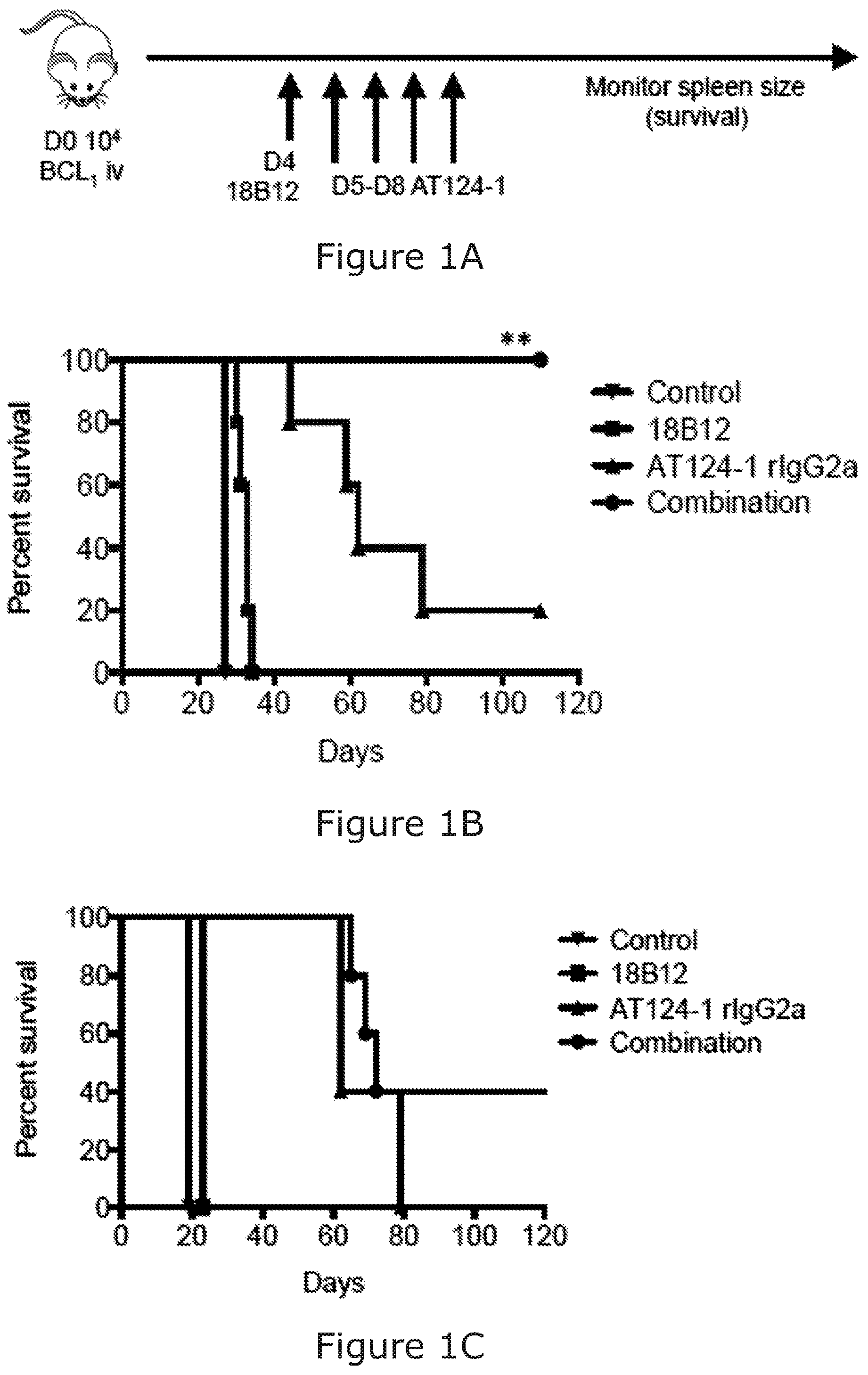 Patent US12325754 Figure 1 – Cancer and B-cell related disease therapy