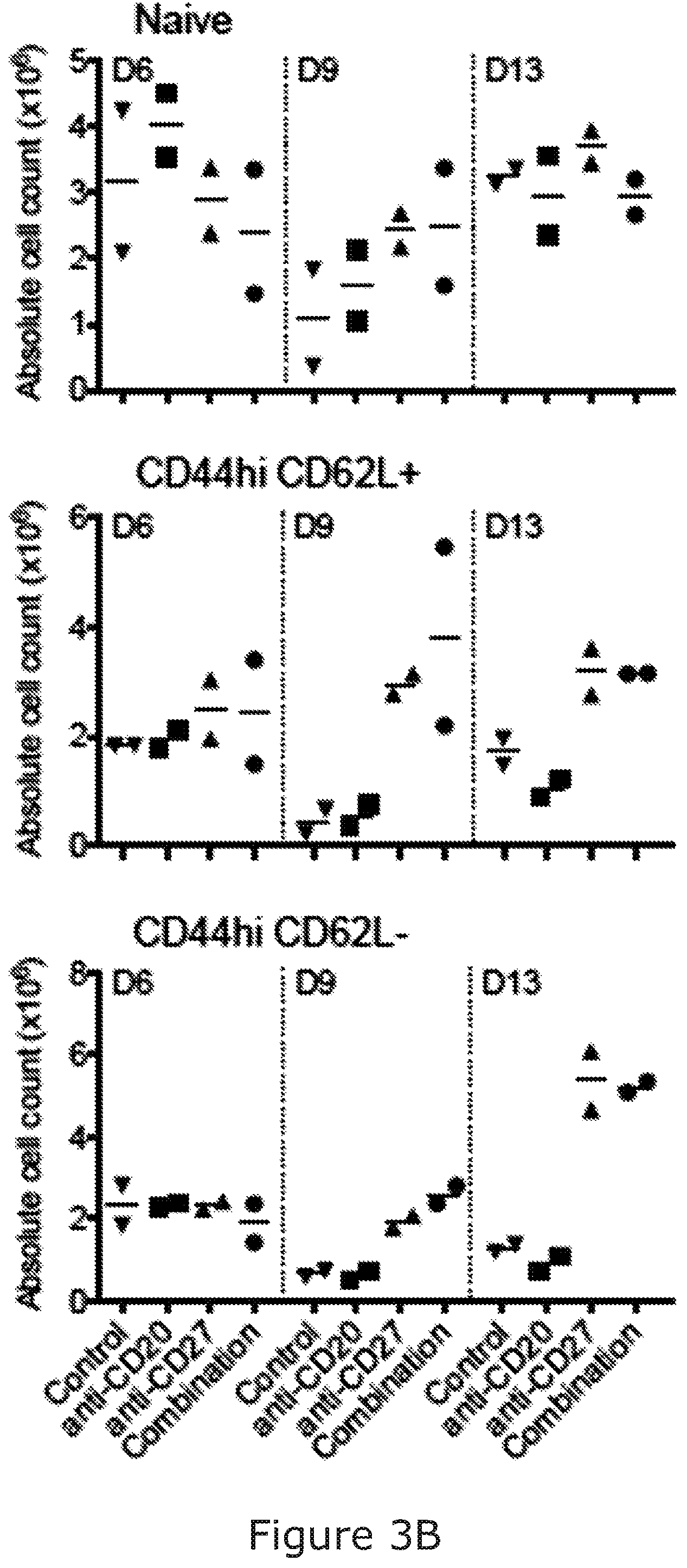Patent US12325754 Figure 5 – Cancer and B-cell related disease therapy