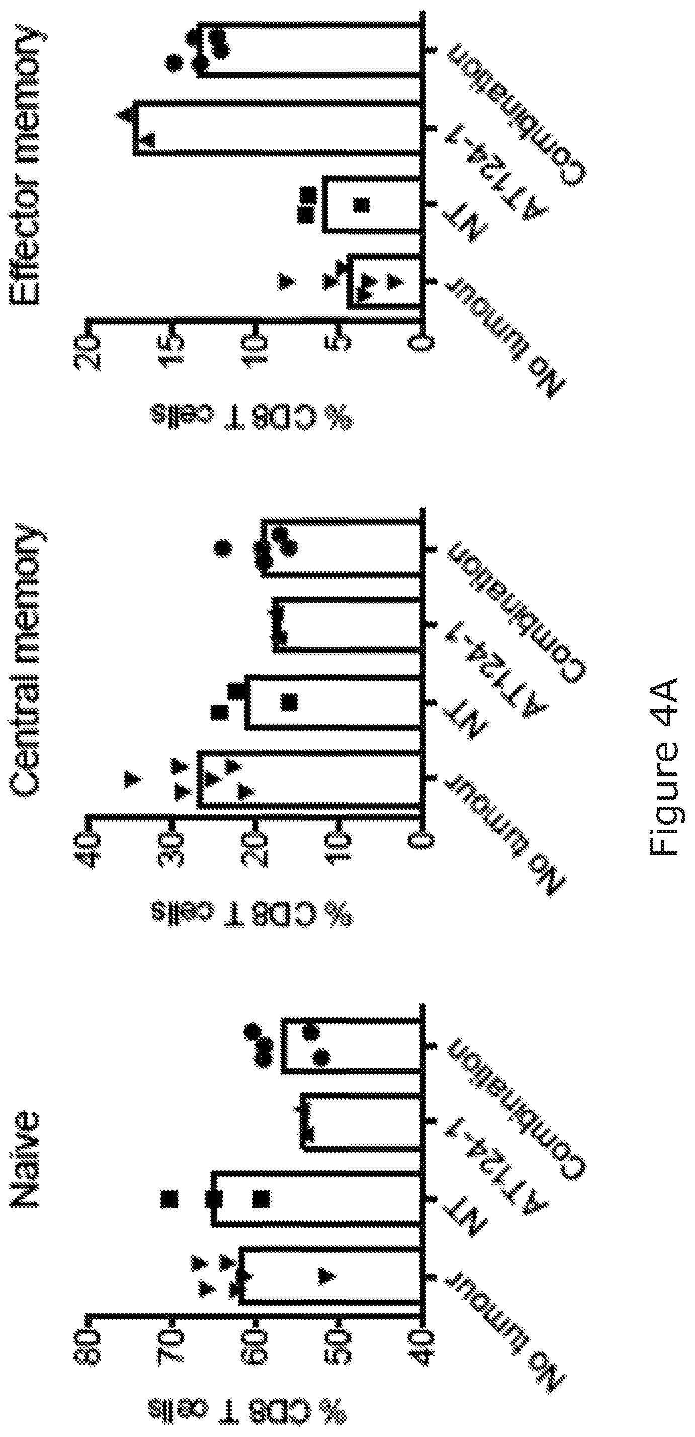 Patent US12325754 Figure 6 – Cancer and B-cell related disease therapy