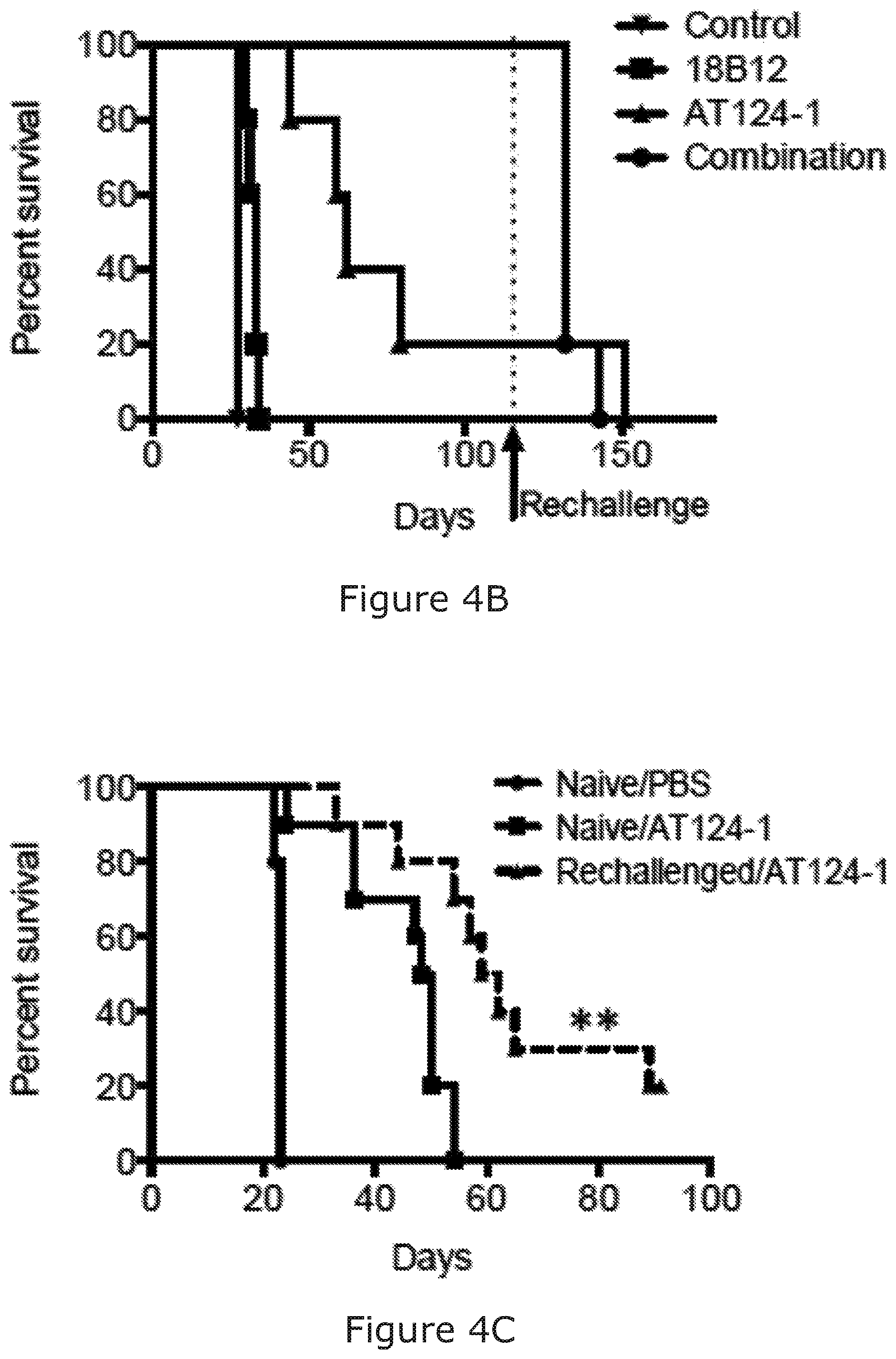 Patent US12325754 Figure 7 – Cancer and B-cell related disease therapy