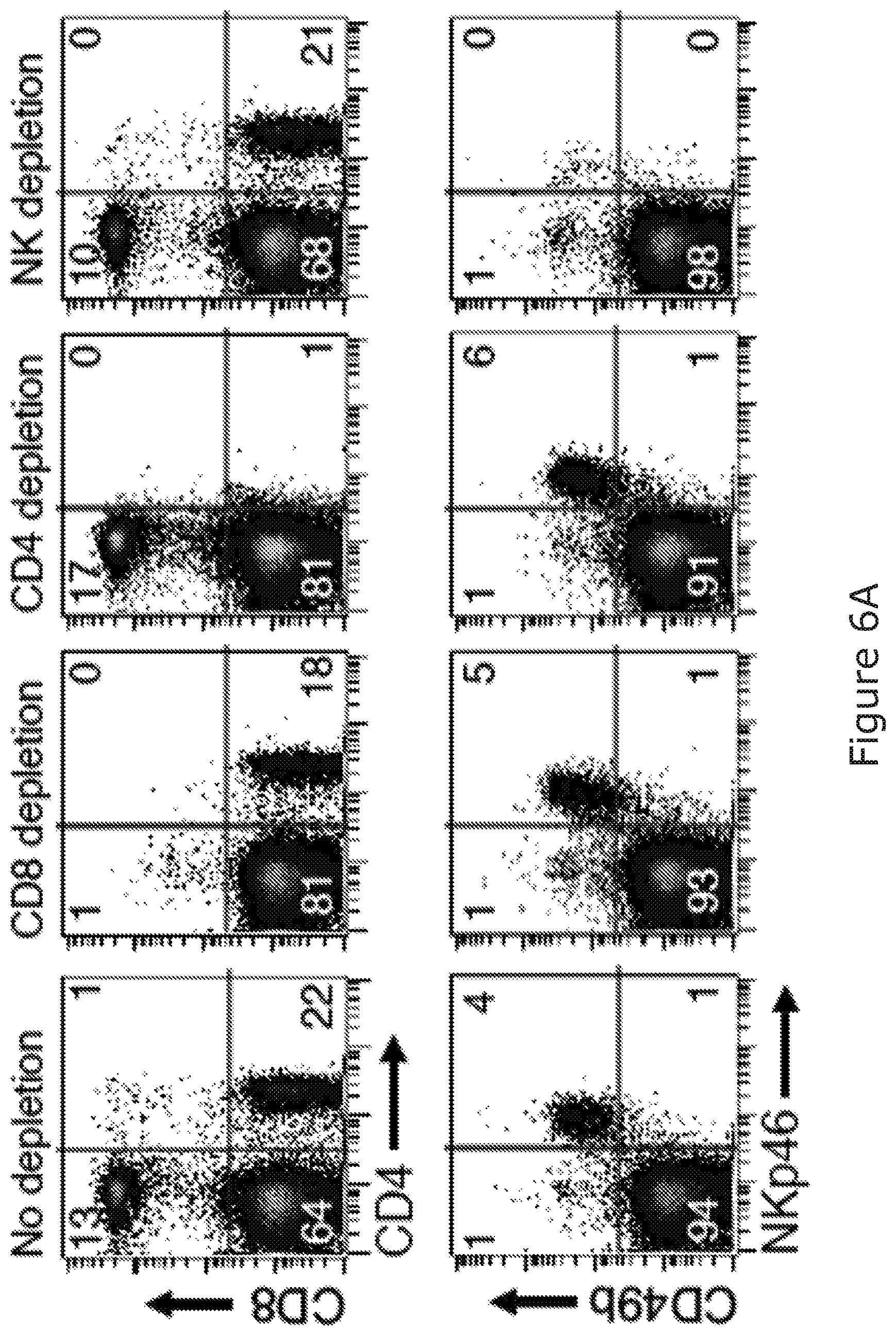 Patent US12325754 Figure 10 – Cancer and B-cell related disease therapy