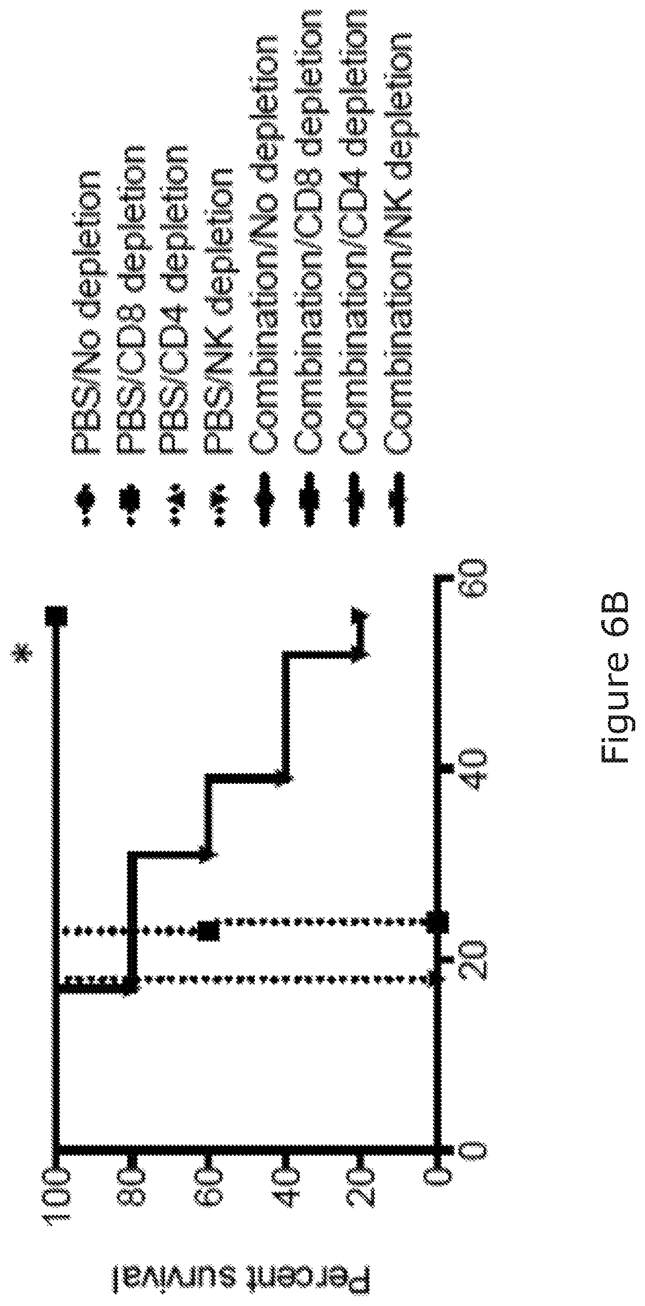 Patent US12325754 Figure 11 – Cancer and B-cell related disease therapy