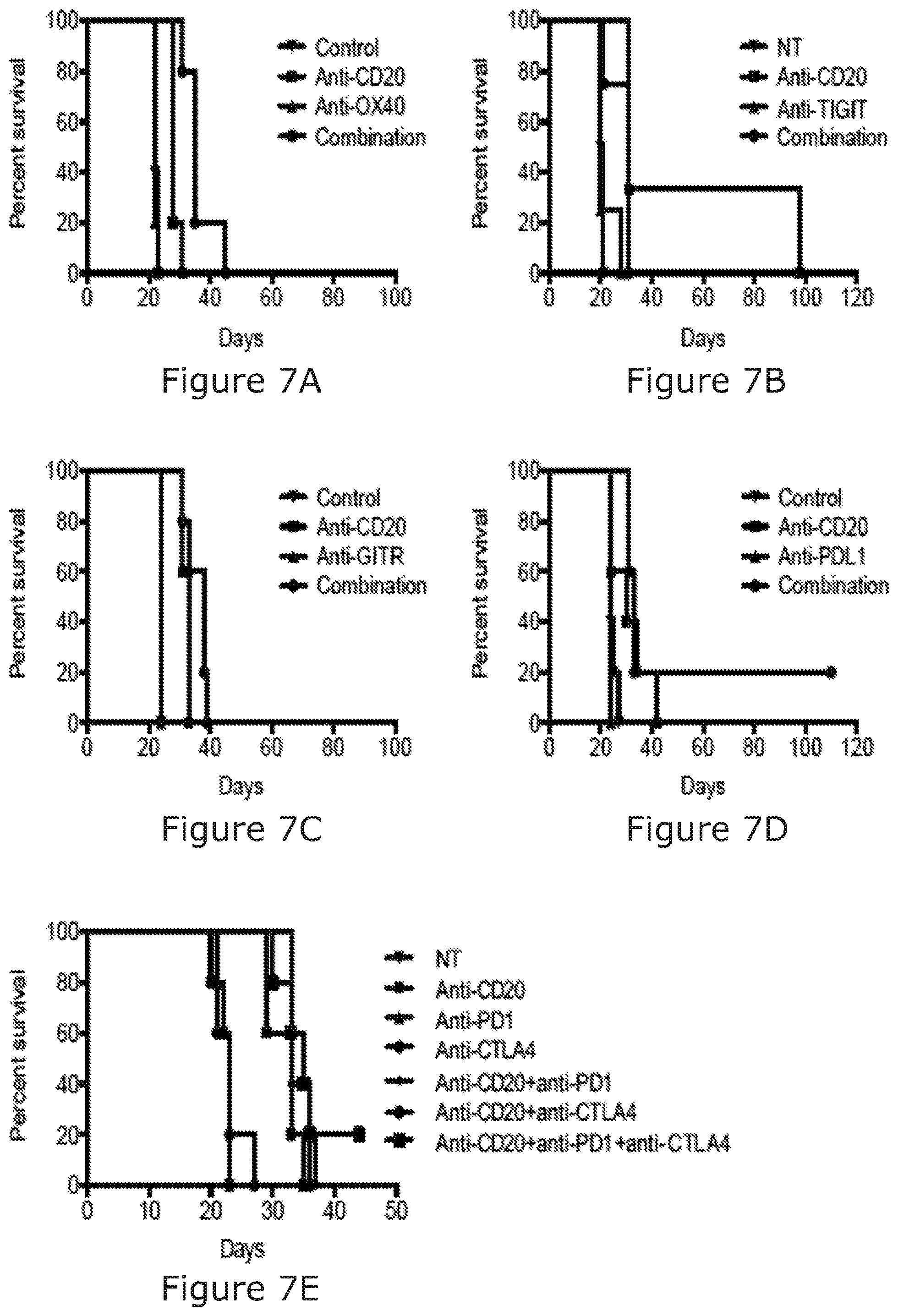 Patent US12325754 Figure 12 – Cancer and B-cell related disease therapy