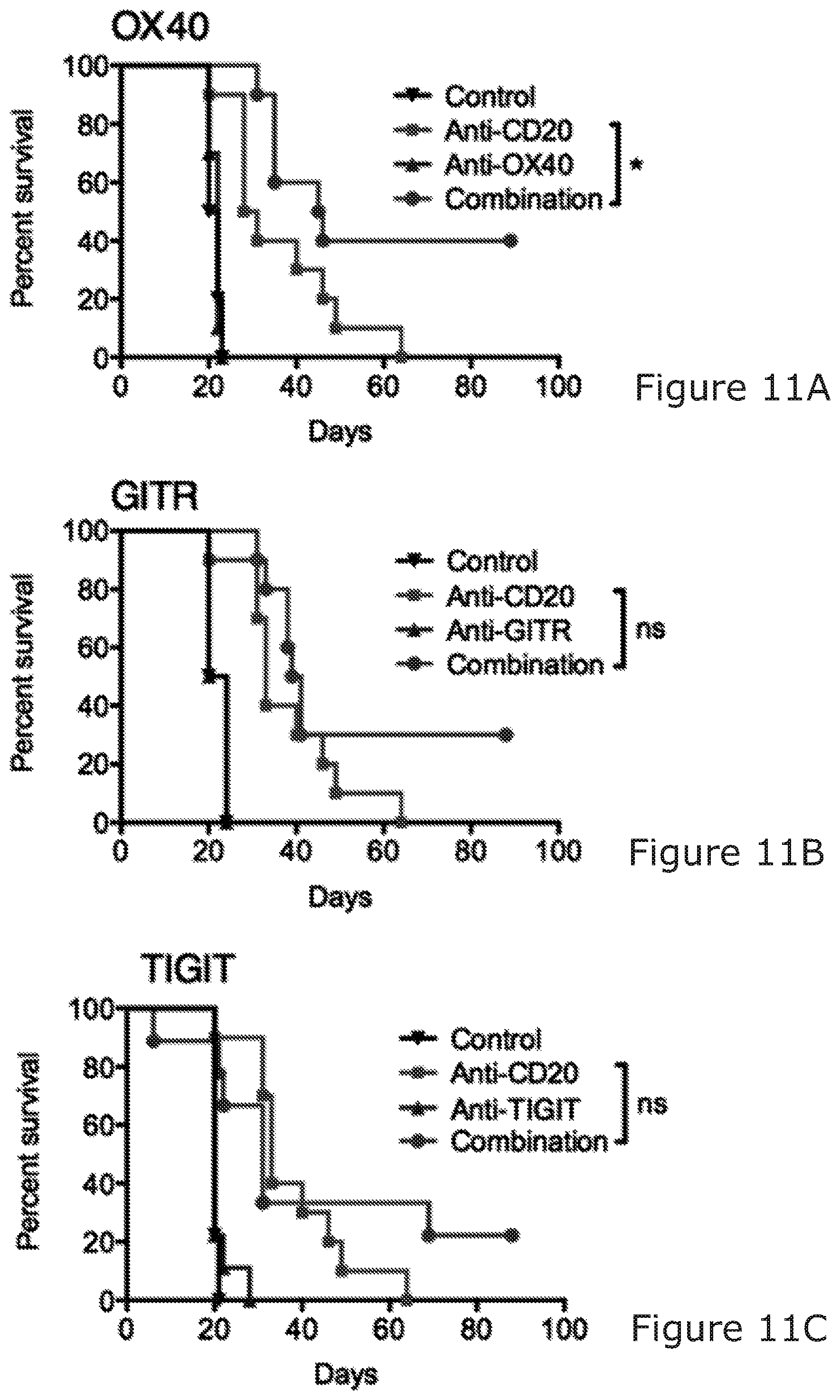 Patent US12325754 Figure 15 – Cancer and B-cell related disease therapy