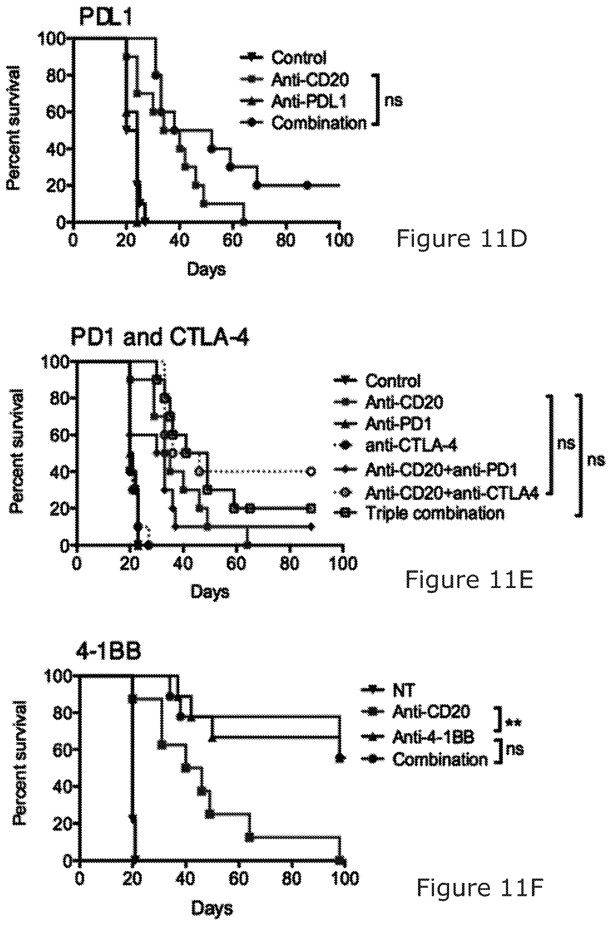 Patent US12325754 Figure 16 – Cancer and B-cell related disease therapy