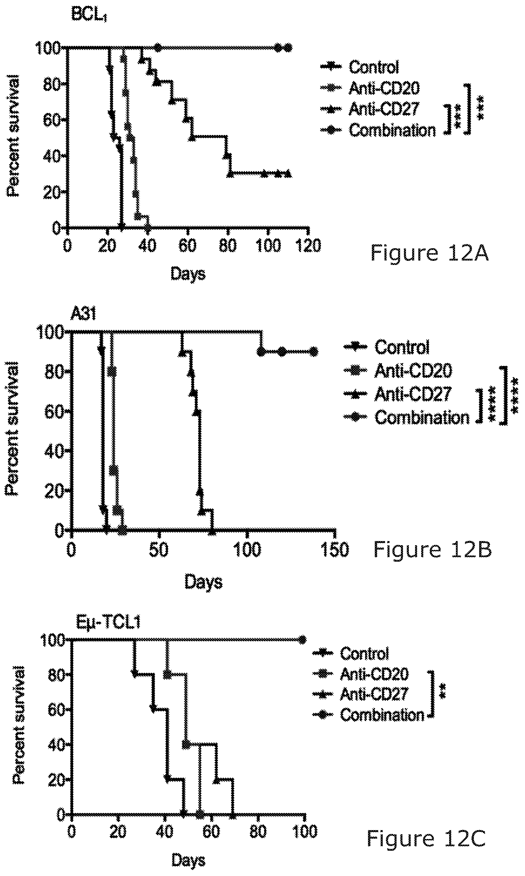 Patent US12325754 Figure 17 – Cancer and B-cell related disease therapy
