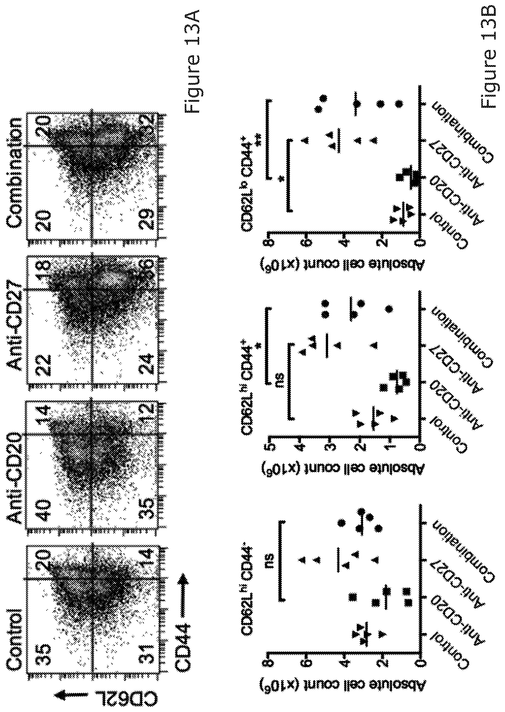 Patent US12325754 Figure 19 – Cancer and B-cell related disease therapy