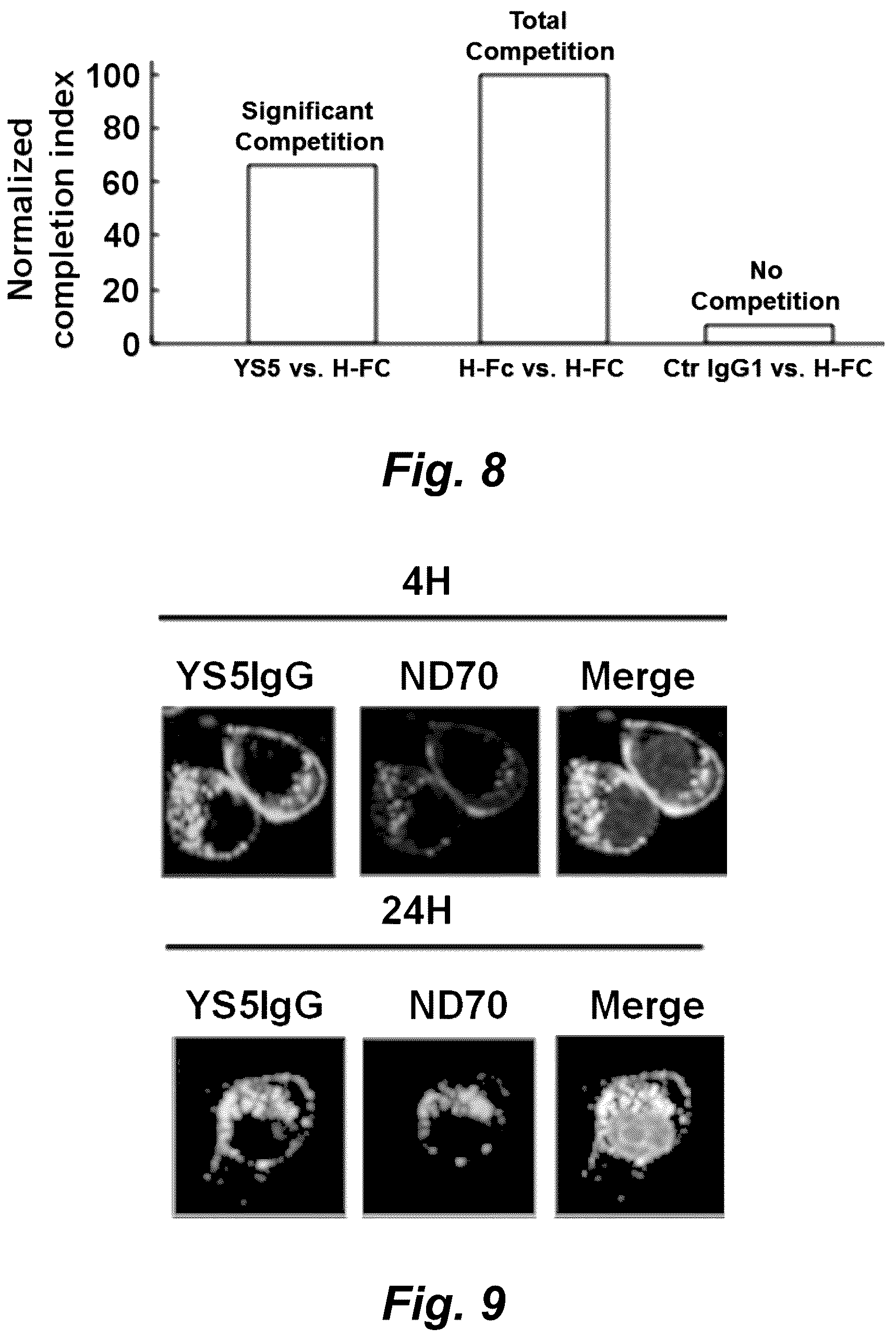 Patent US12325755 Figure 10 – Macropinocytosing human anti-CD46 antibodies and targeted cancer therapeutics