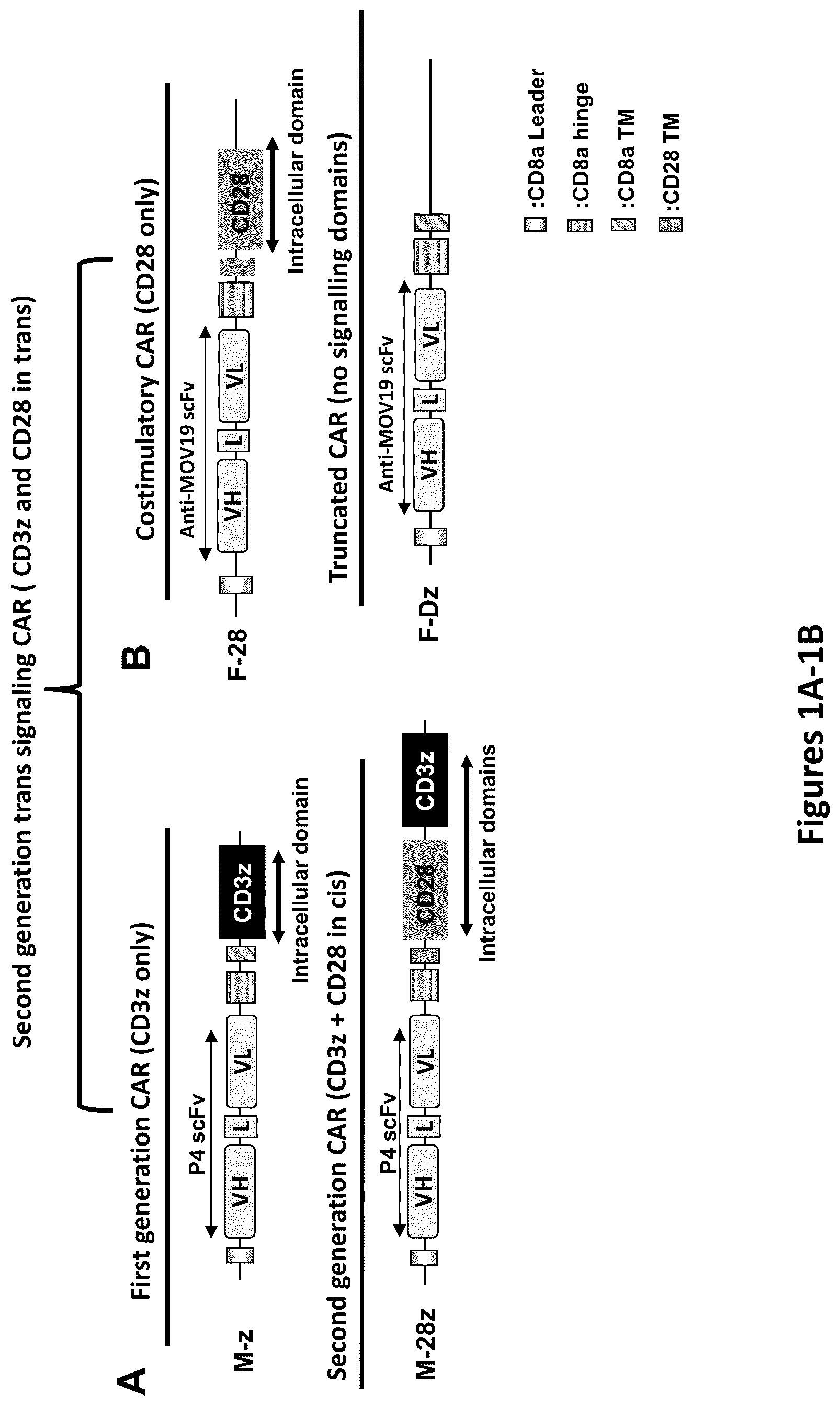 Patent US12325756 — Use of trans-signaling approach in chimeric antigen receptors — Figure 1