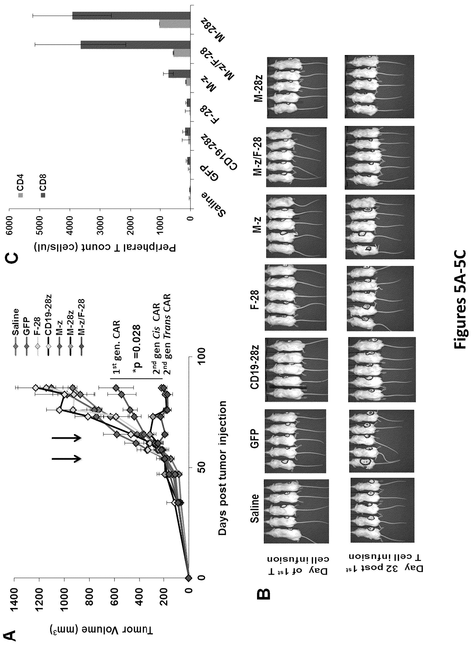 Patent US12325756 Figure 10 – Use of trans-signaling approach in chimeric antigen receptors