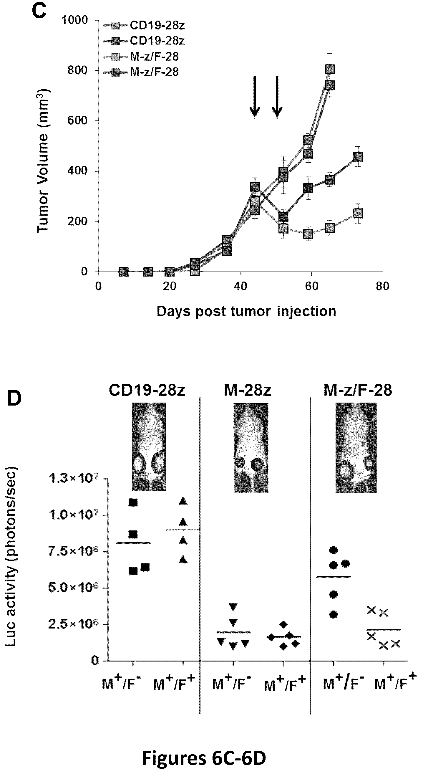 Patent US12325756 Figure 12 – Use of trans-signaling approach in chimeric antigen receptors