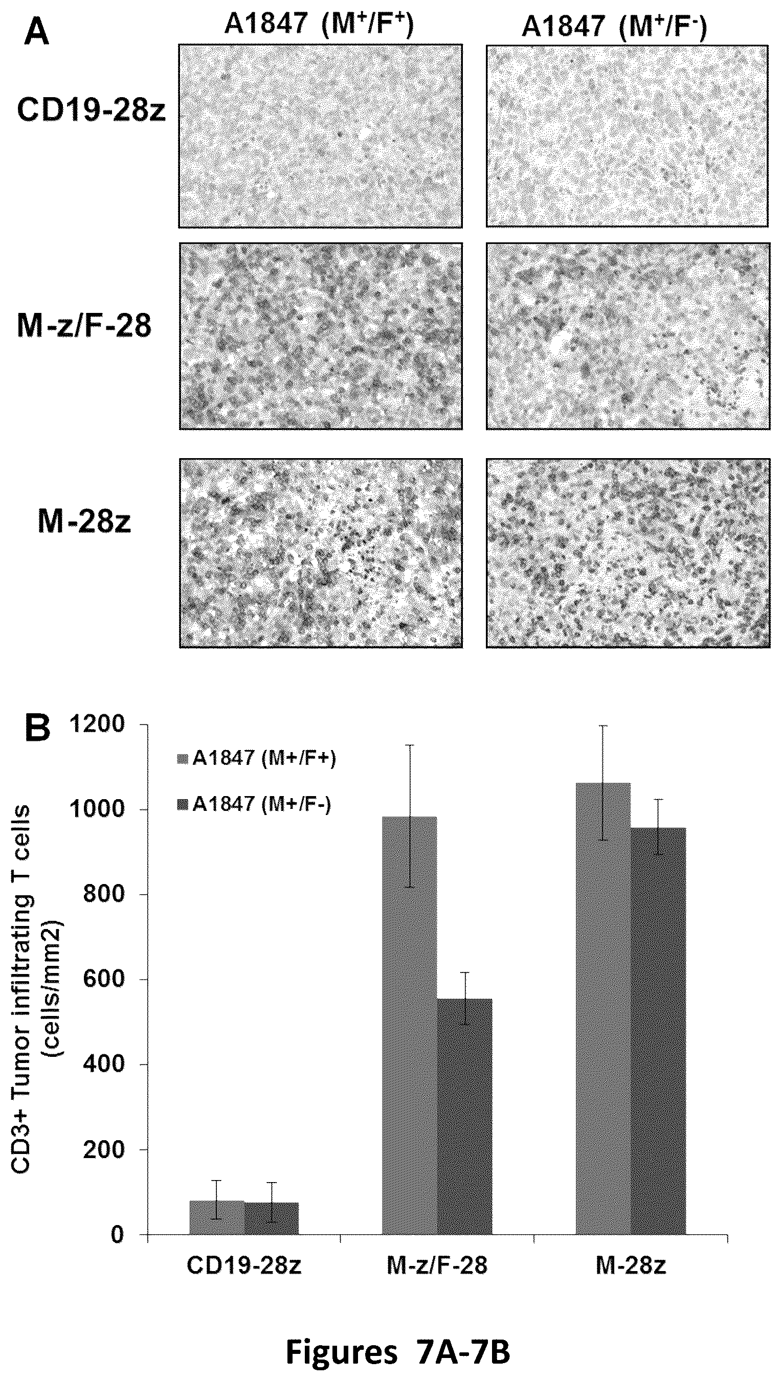 Patent US12325756 Figure 13 – Use of trans-signaling approach in chimeric antigen receptors