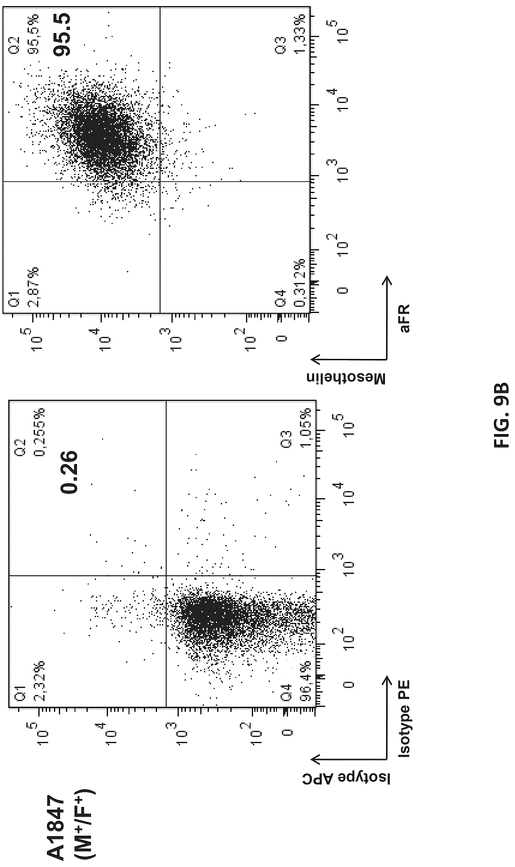 Patent US12325756 Figure 17 – Use of trans-signaling approach in chimeric antigen receptors