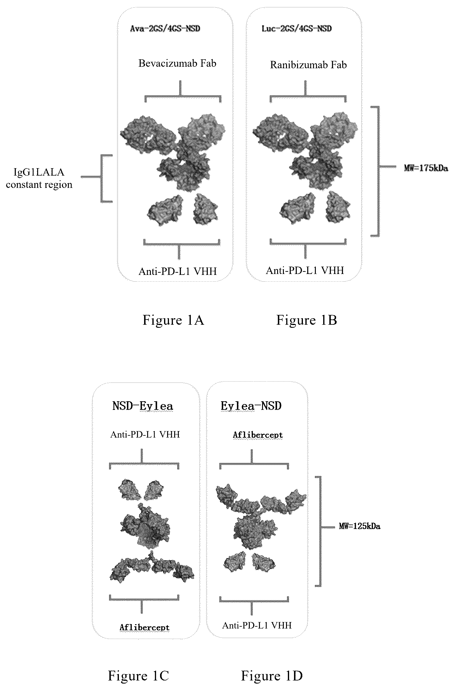 Patent US12325759 Figure 1 – Anti-VEGF-anti-PD-L1 bispecific antibody, pharmaceutical composition of same, and uses thereof