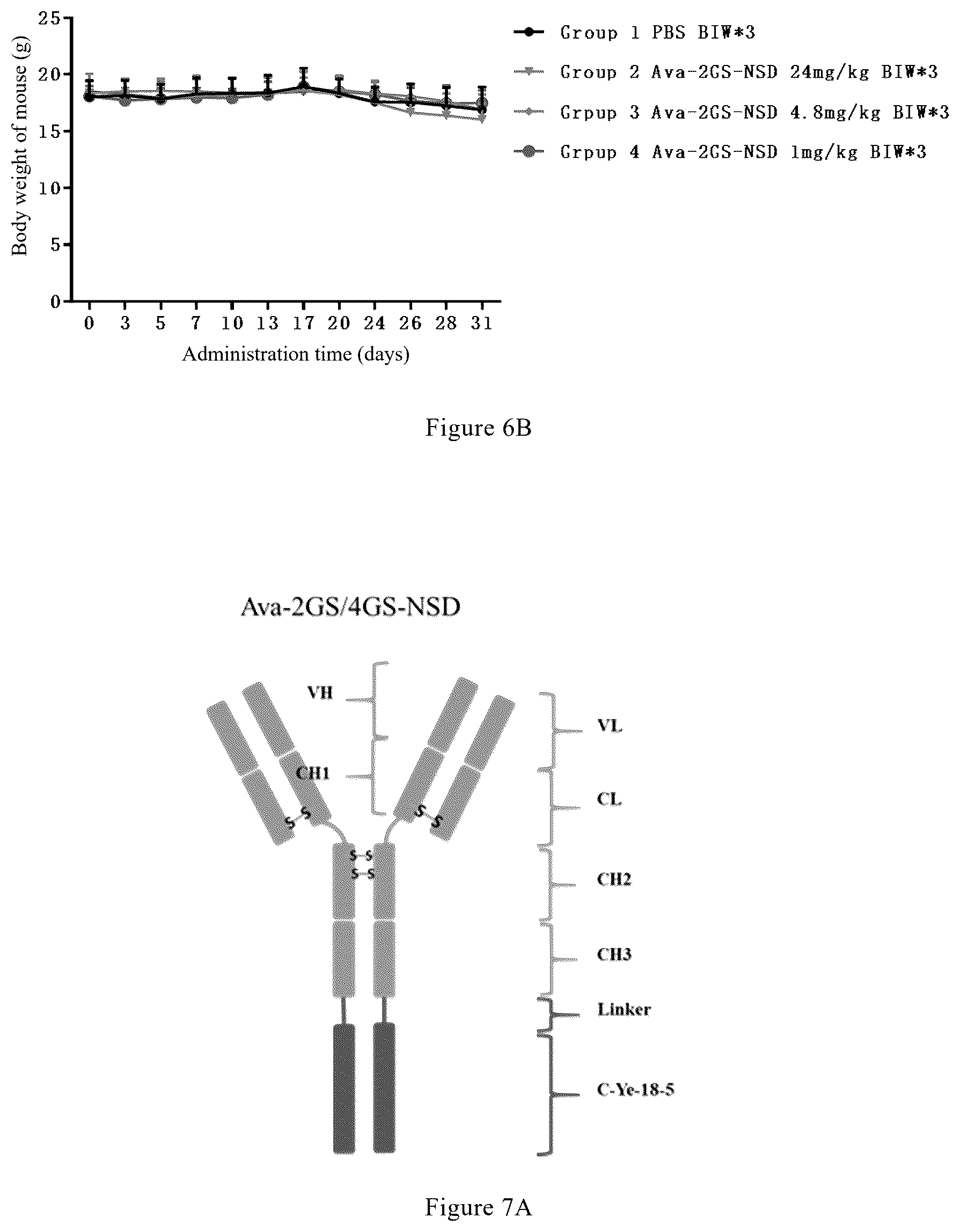 Patent US12325759 Figure 9 – Anti-VEGF-anti-PD-L1 bispecific antibody, pharmaceutical composition of same, and uses thereof