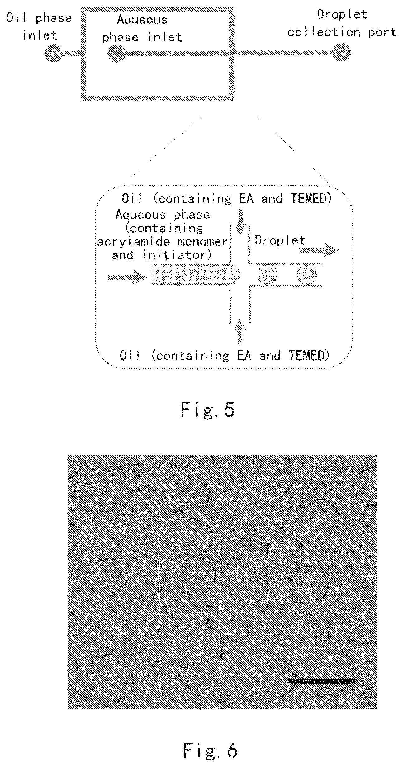 Patent US12325767 Figure 3 – Degradable microsphere and use thereof