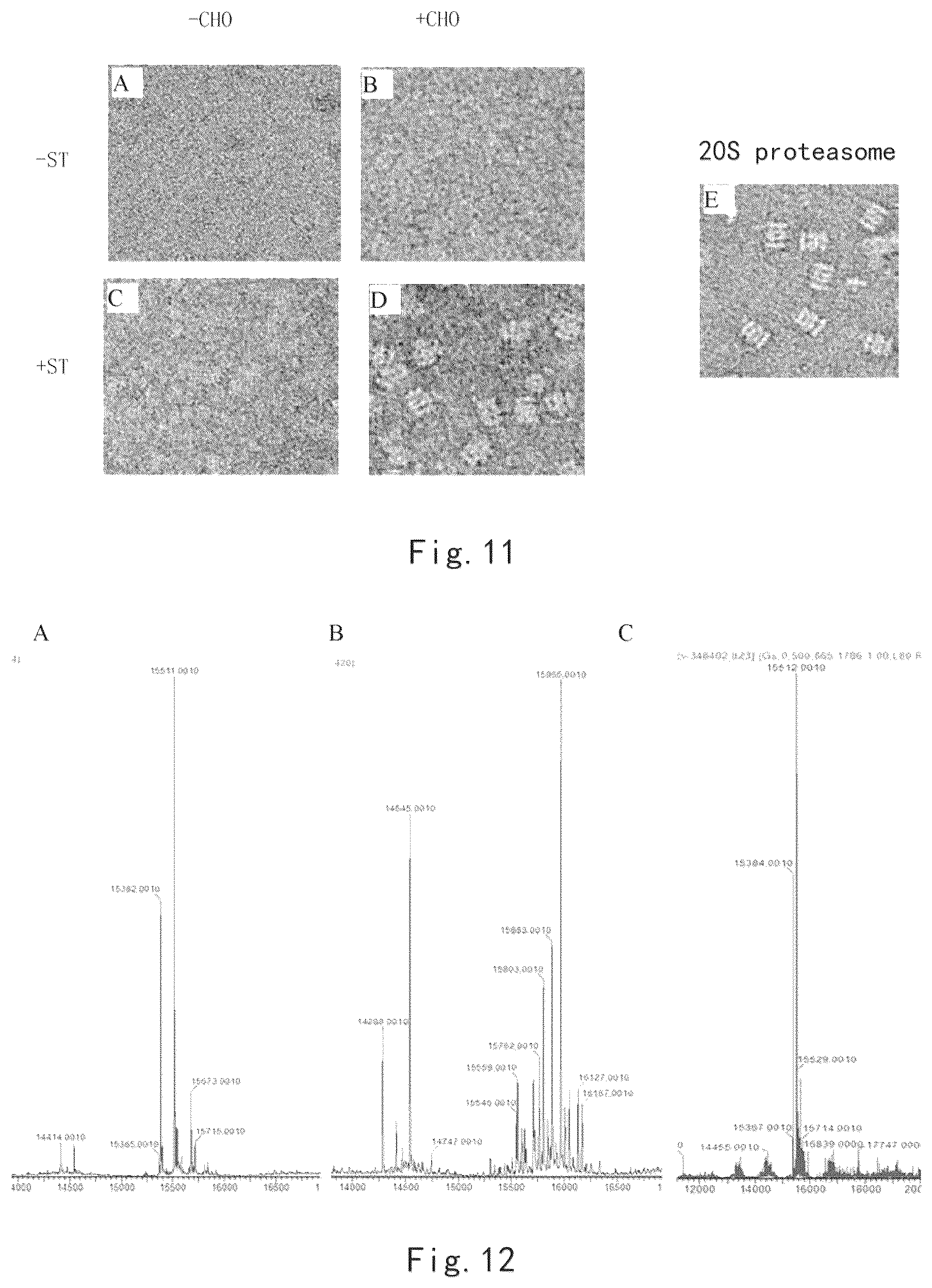 Patent US12325767 Figure 6 – Degradable microsphere and use thereof