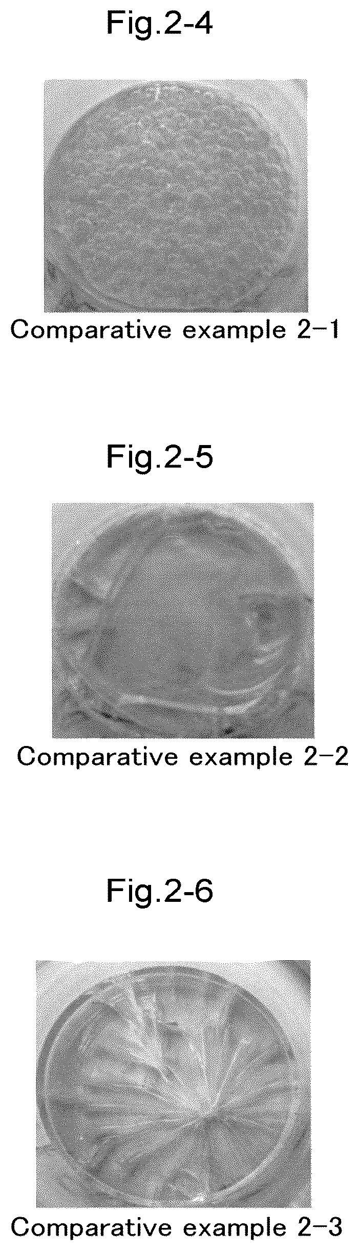 Patent US12325769 Figure 4 – Fluororesin, fluororesin particles, and methods for producing these