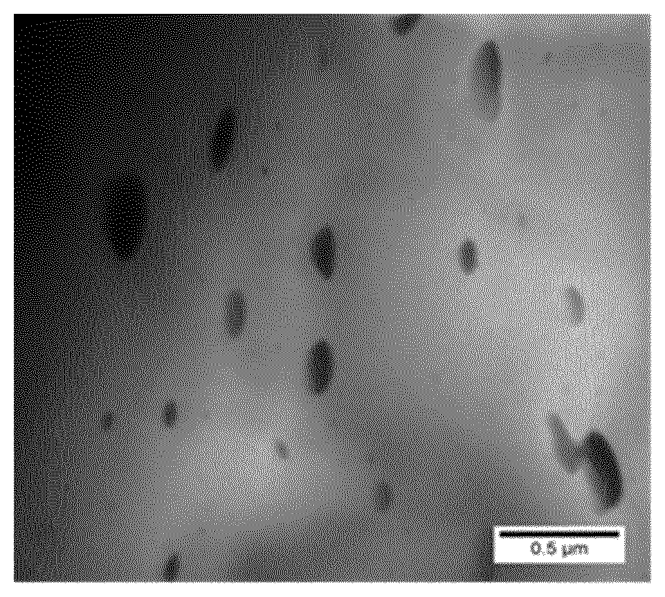 Patent US12325774 Figure 1 – Copolymers of poly(aryl ether sulfones) and polydimethylsiloxane