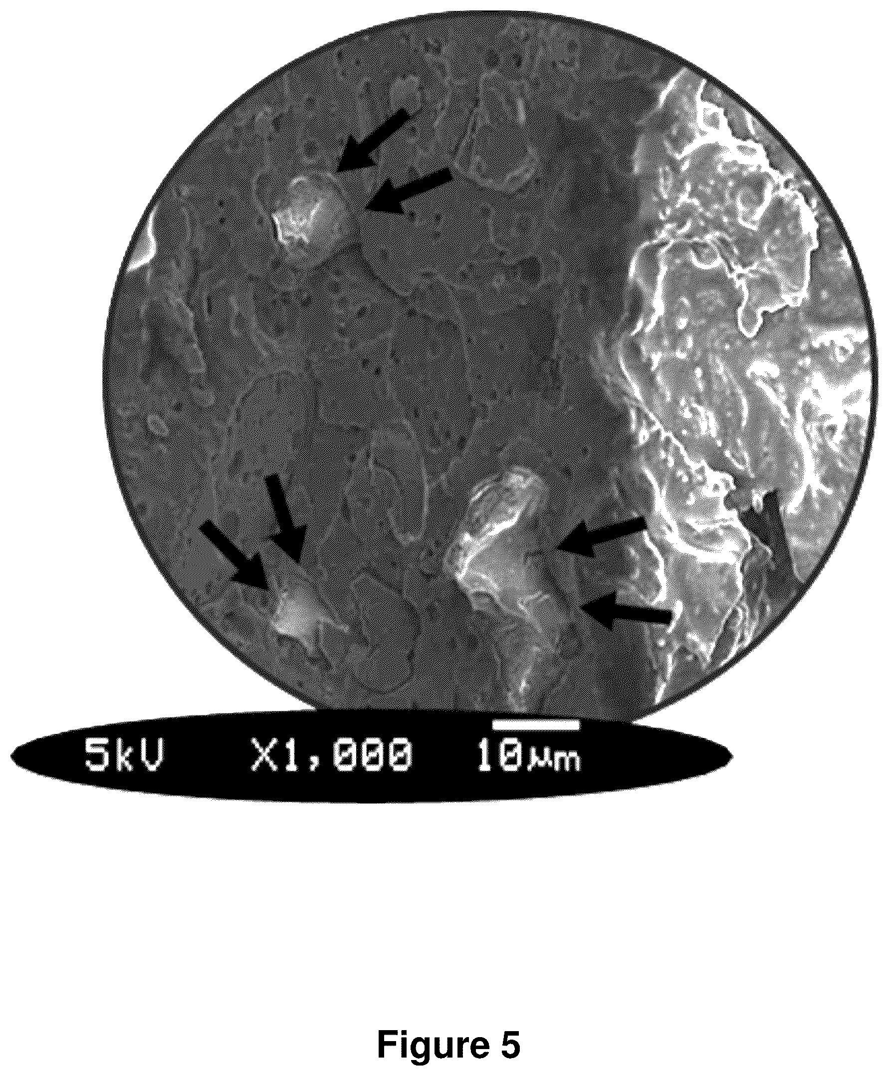 Patent US12325798 Figure 6 – Compositions containing lignocellulosic biomass residues, polymer composites made therefrom, and methods of making lignocellulosic biomass residues and polymer composites containing them