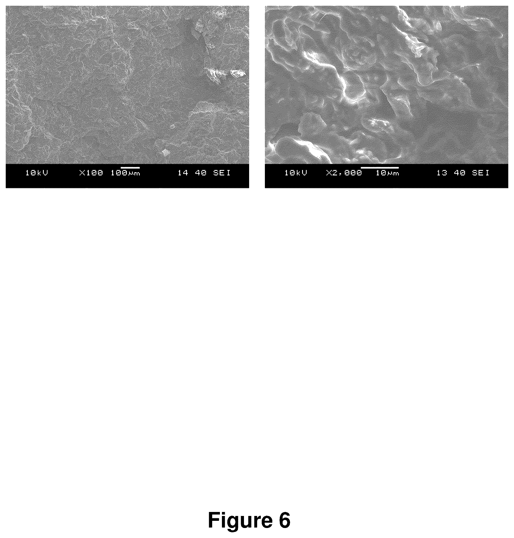 Patent US12325798 Figure 7 – Compositions containing lignocellulosic biomass residues, polymer composites made therefrom, and methods of making lignocellulosic biomass residues and polymer composites containing them