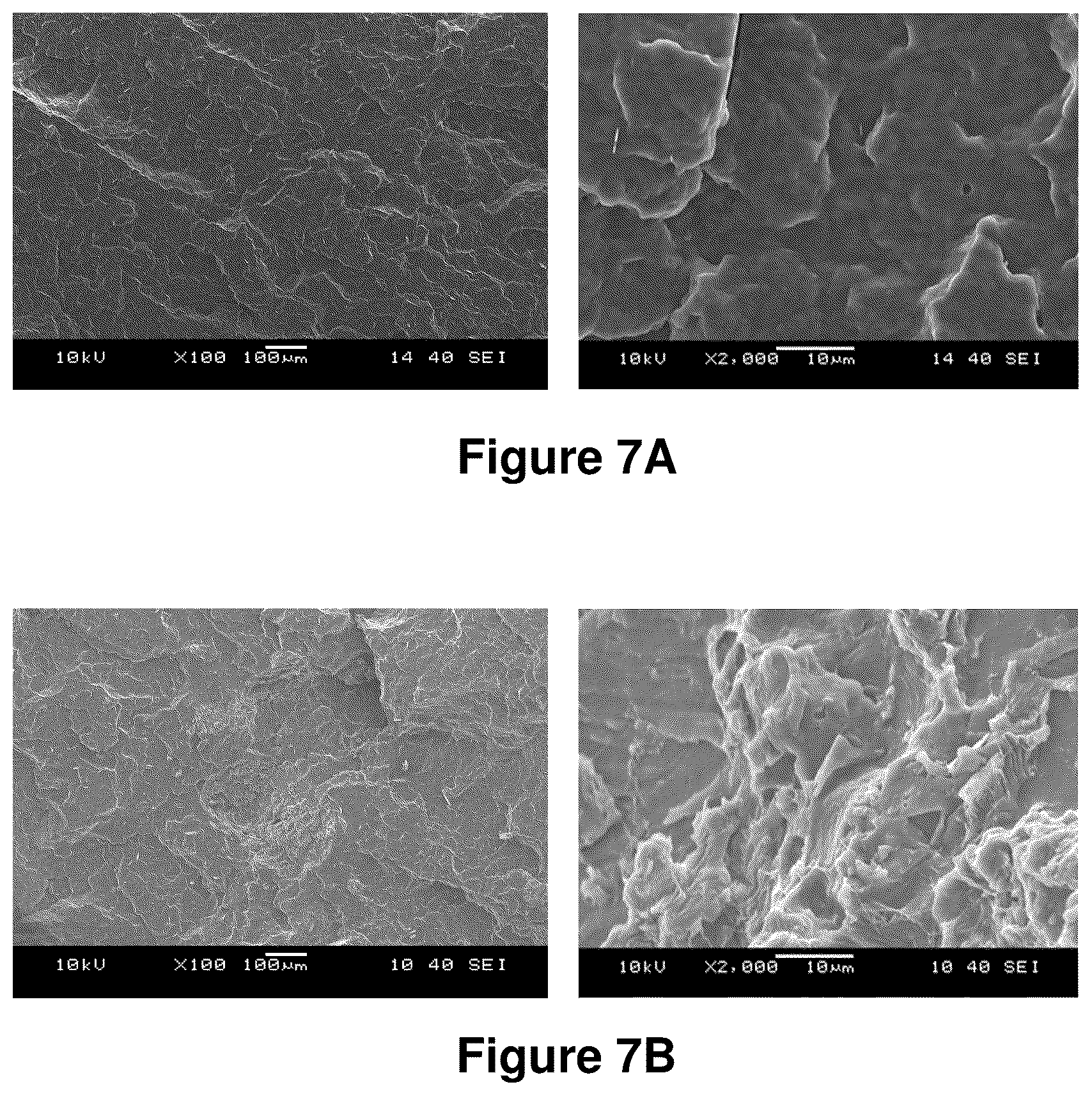 Patent US12325798 Figure 8 – Compositions containing lignocellulosic biomass residues, polymer composites made therefrom, and methods of making lignocellulosic biomass residues and polymer composites containing them