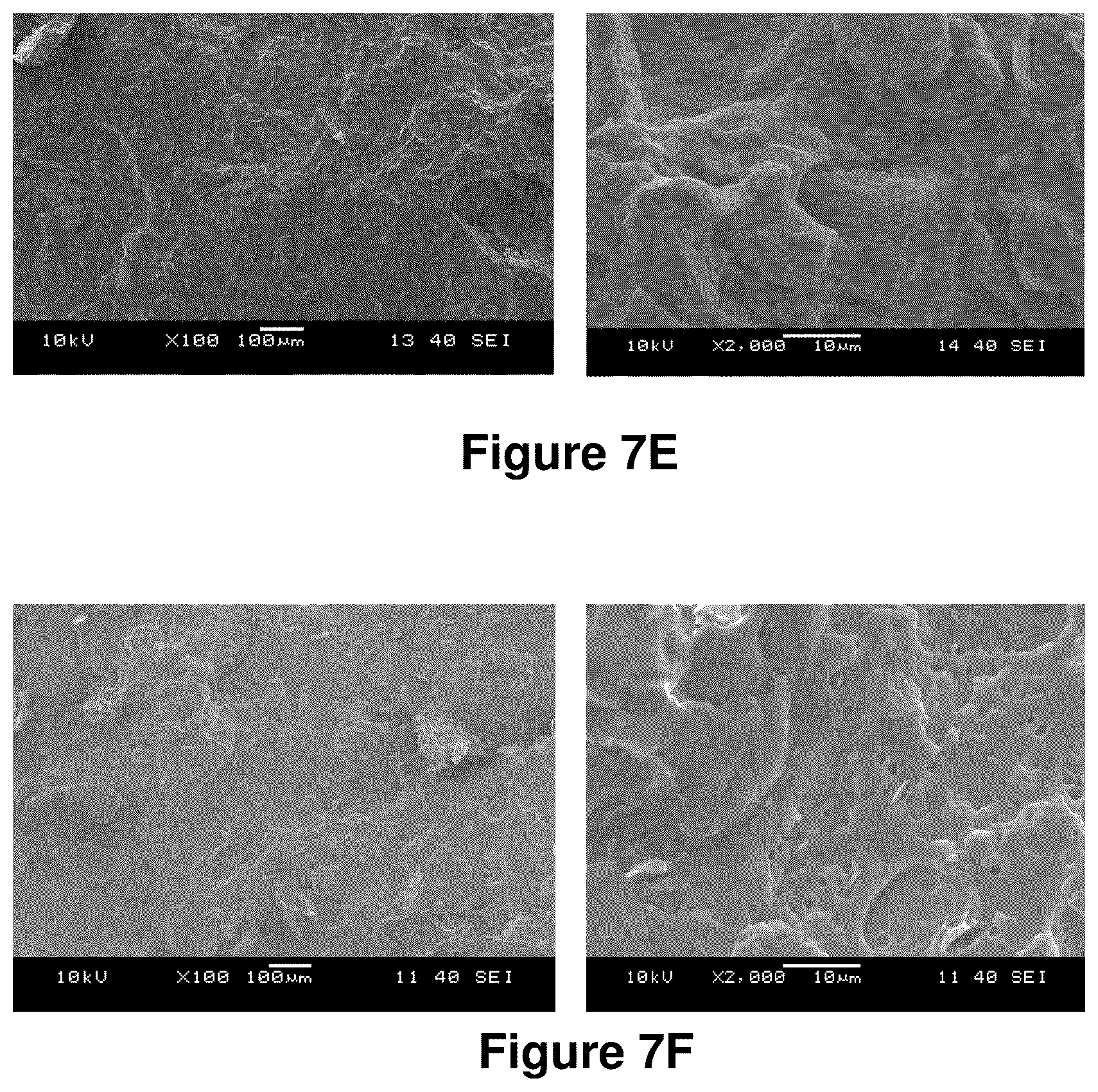 Patent US12325798 Figure 10 – Compositions containing lignocellulosic biomass residues, polymer composites made therefrom, and methods of making lignocellulosic biomass residues and polymer composites containing them