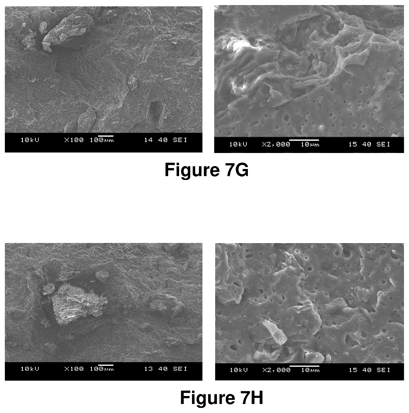 Patent US12325798 Figure 11 – Compositions containing lignocellulosic biomass residues, polymer composites made therefrom, and methods of making lignocellulosic biomass residues and polymer composites containing them